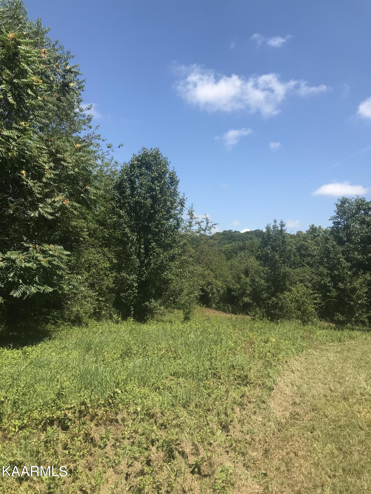 Lot 3 Piney Road Kodak, TN 37764 - Photo 1 of 5 IMG-8429