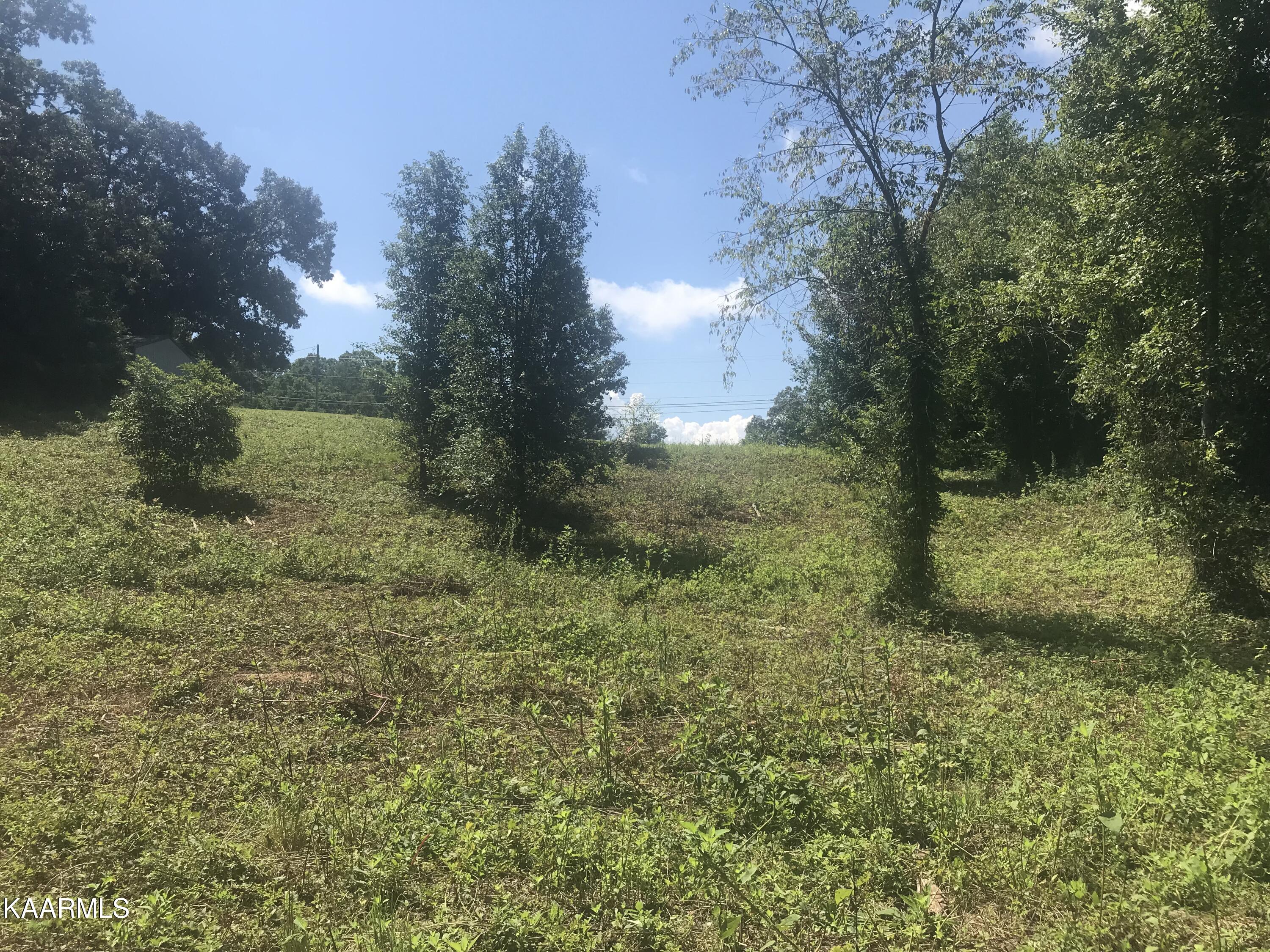 Lot 3 Piney Road Kodak, TN 37764 - Photo 2 of 5 IMG-8388