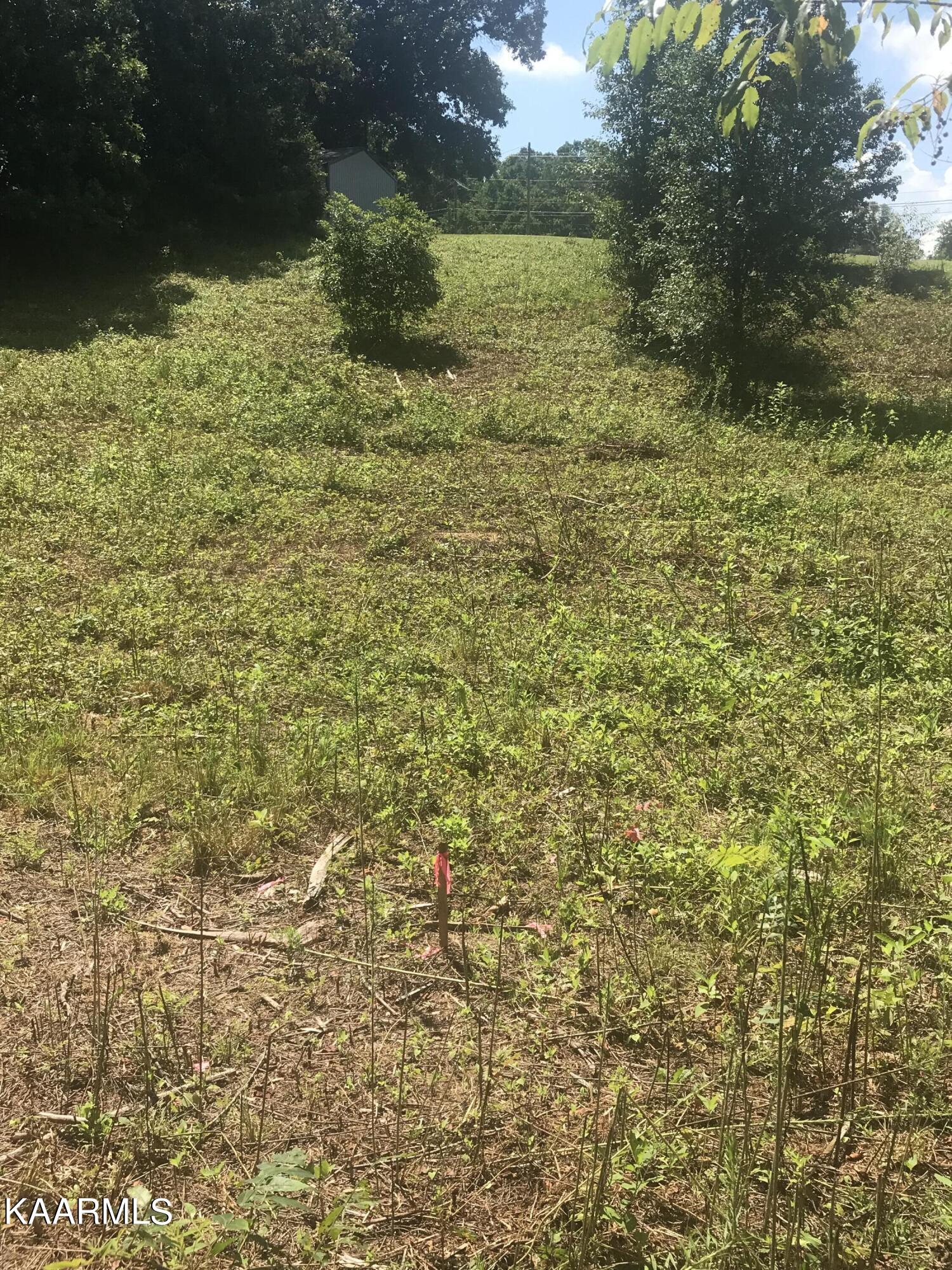 Lot 3 Piney Road Kodak, TN 37764 - Photo 3 of 5 IMG-8391