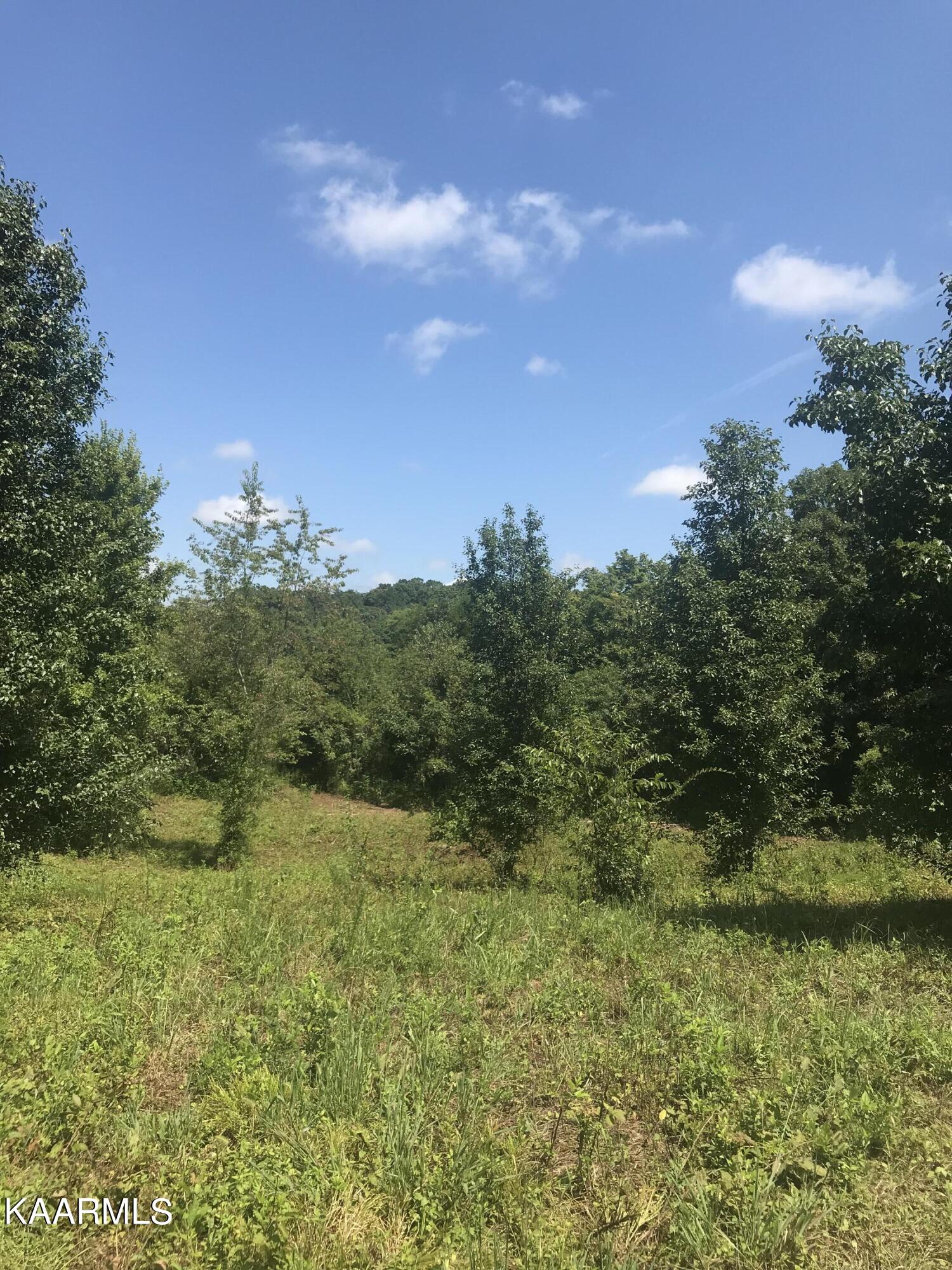 Lot 3 Piney Road Kodak, TN 37764 - Photo 5 of 5 IMG-8431