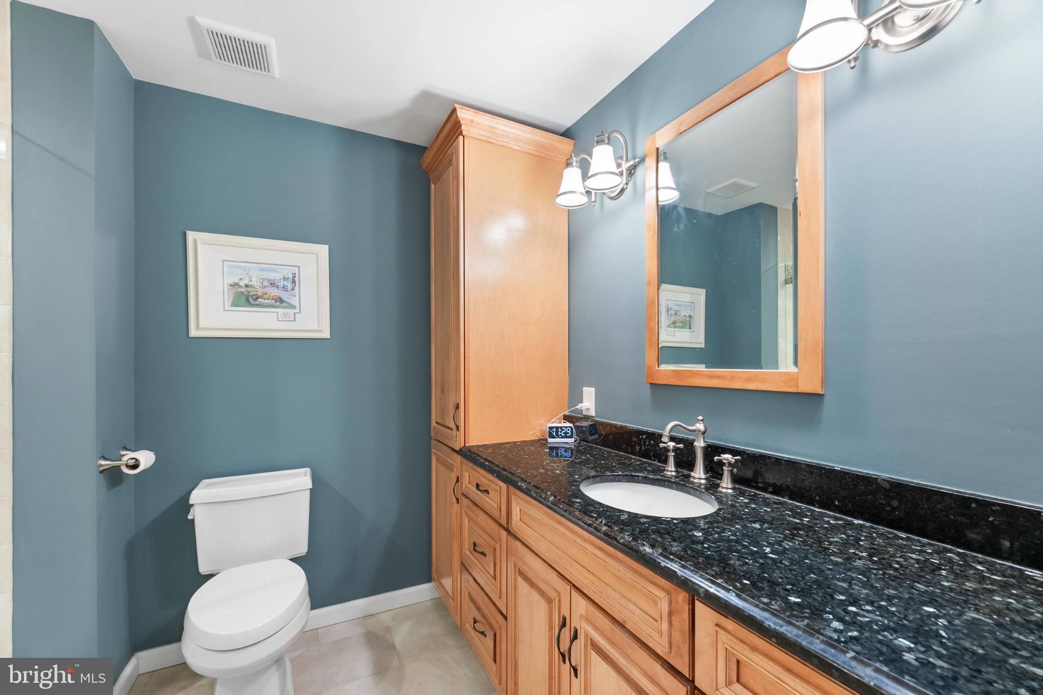 28 Garfield Way Princeton, NJ 08540 - Photo 9 of 38 a bathroom with a granite countertop sink toilet and mirror