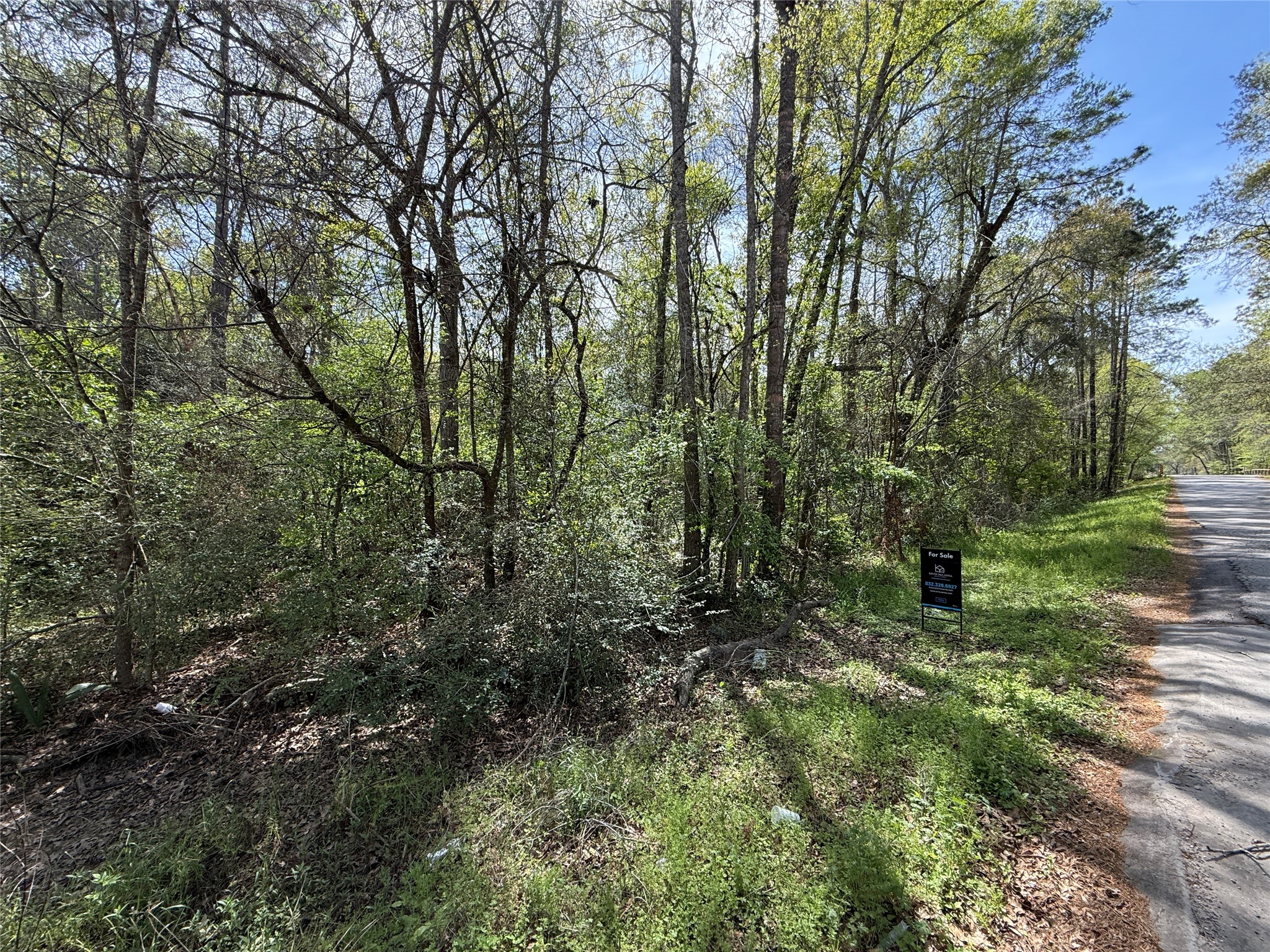 Tbd Walker Road Conroe, TX 77306 - Photo 1 of 7