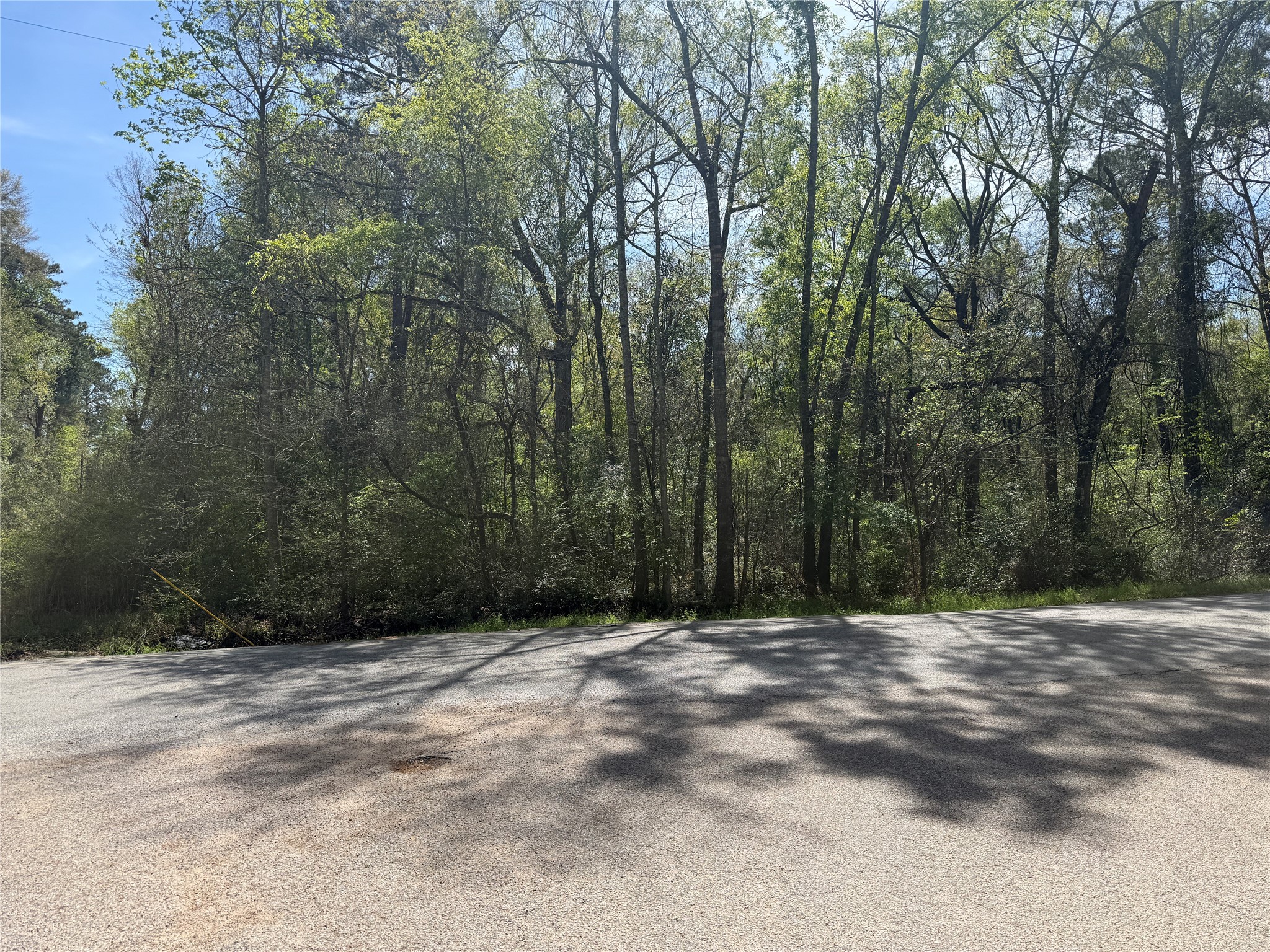 Tbd Walker Road Conroe, TX 77306 - Photo 3 of 7