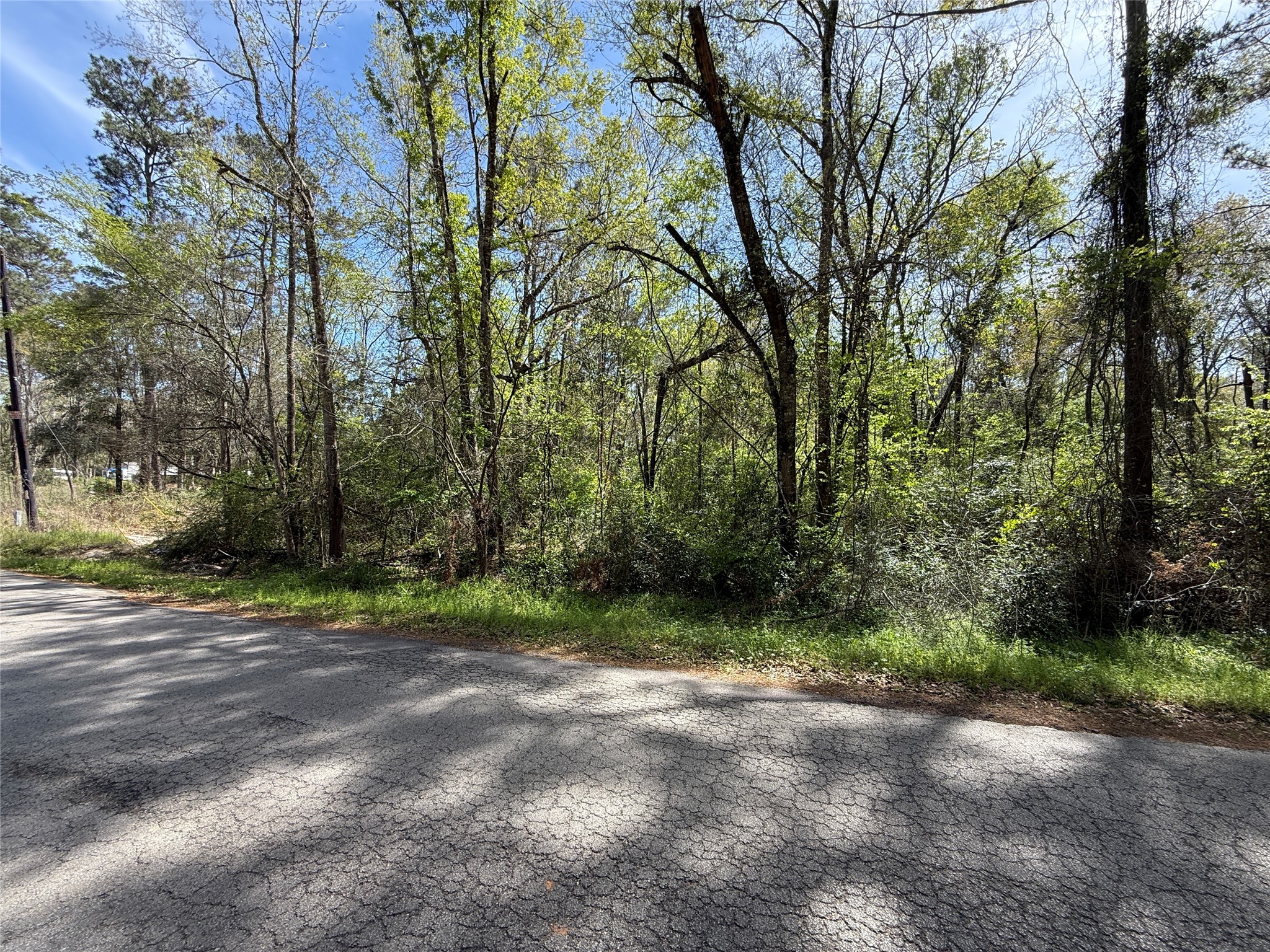 Tbd Walker Road Conroe, TX 77306 - Photo 4 of 7