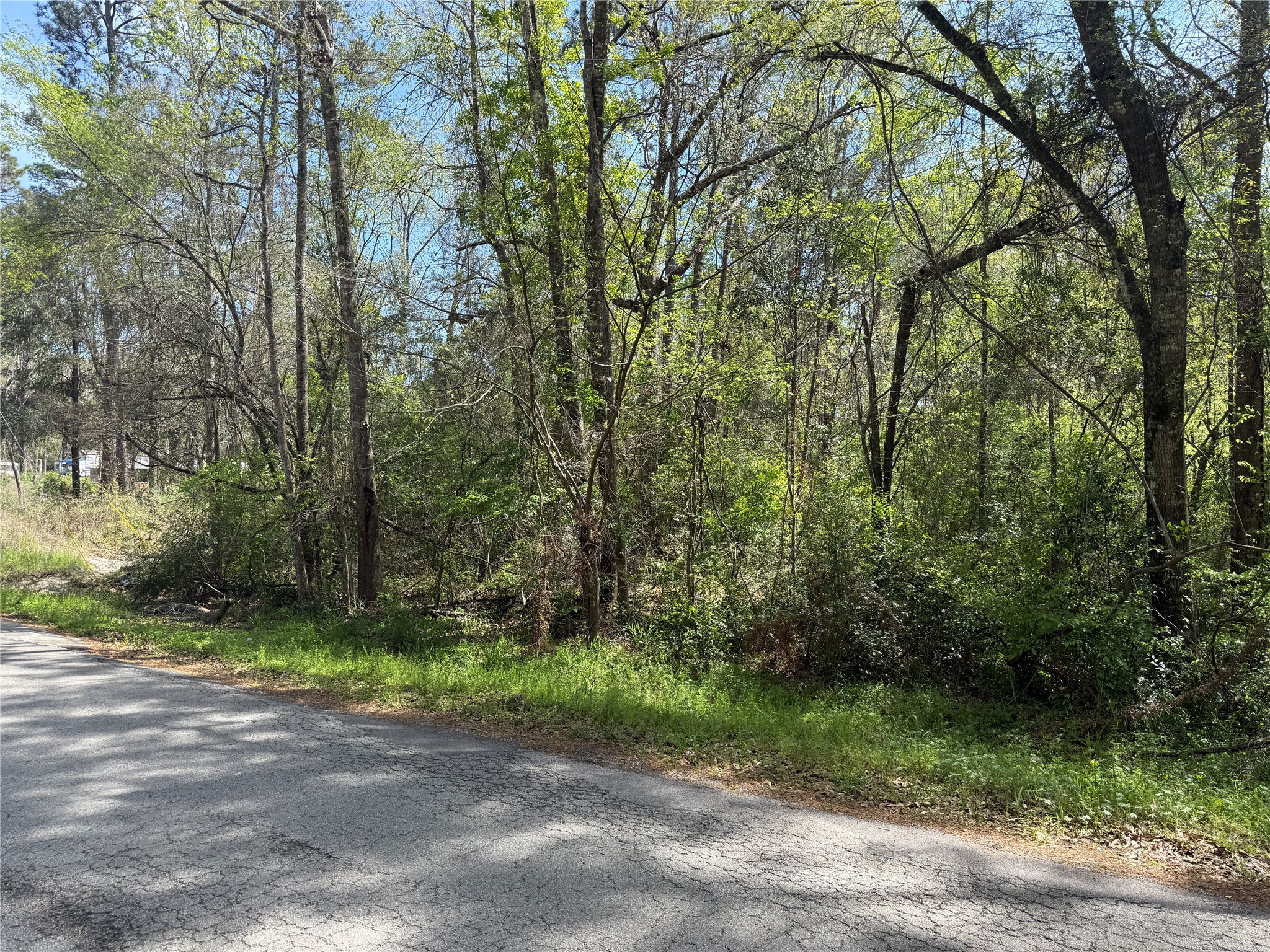 Tbd Walker Road Conroe, TX 77306 - Photo 5 of 7