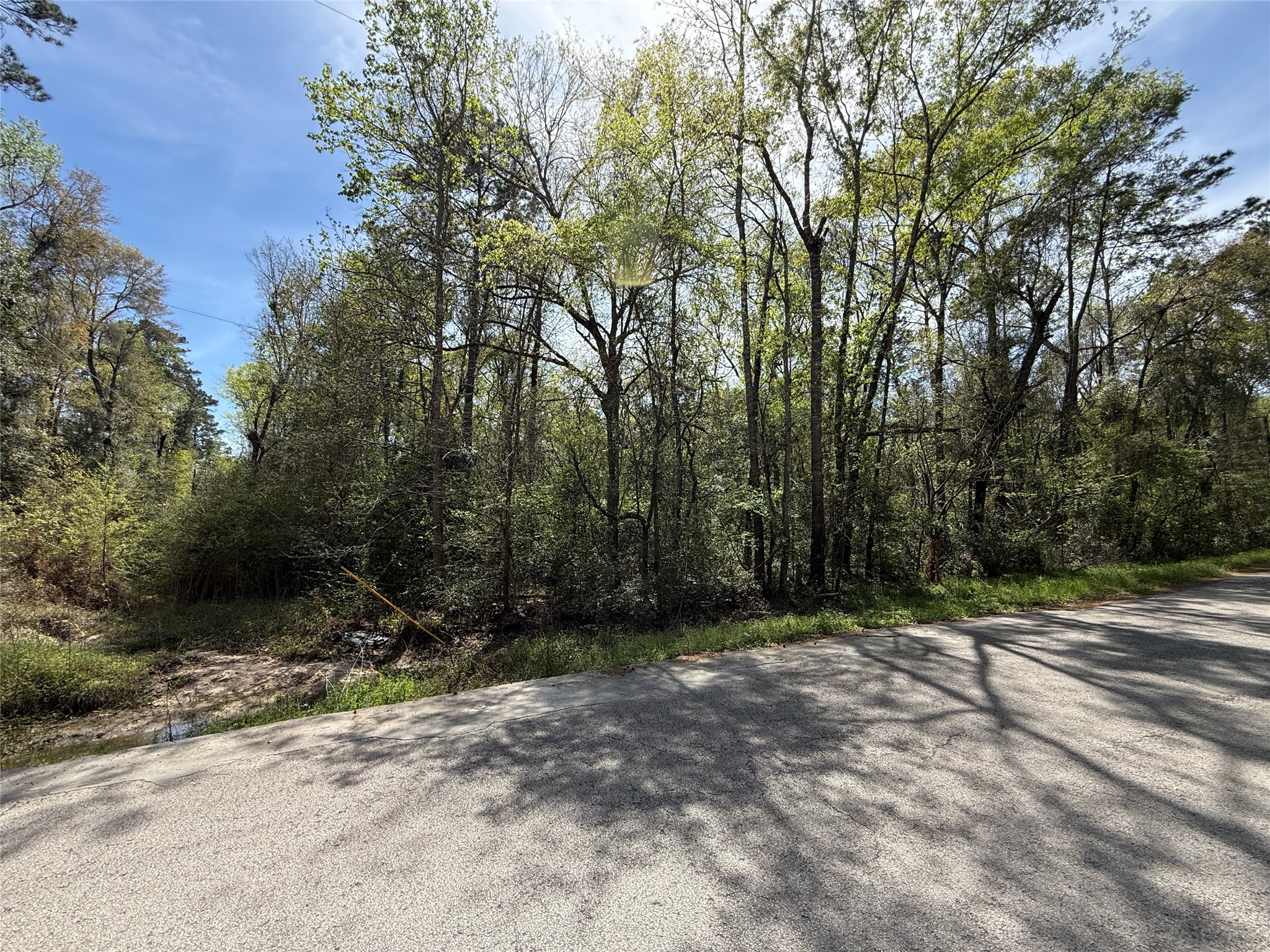 Tbd Walker Road Conroe, TX 77306 - Photo 6 of 7