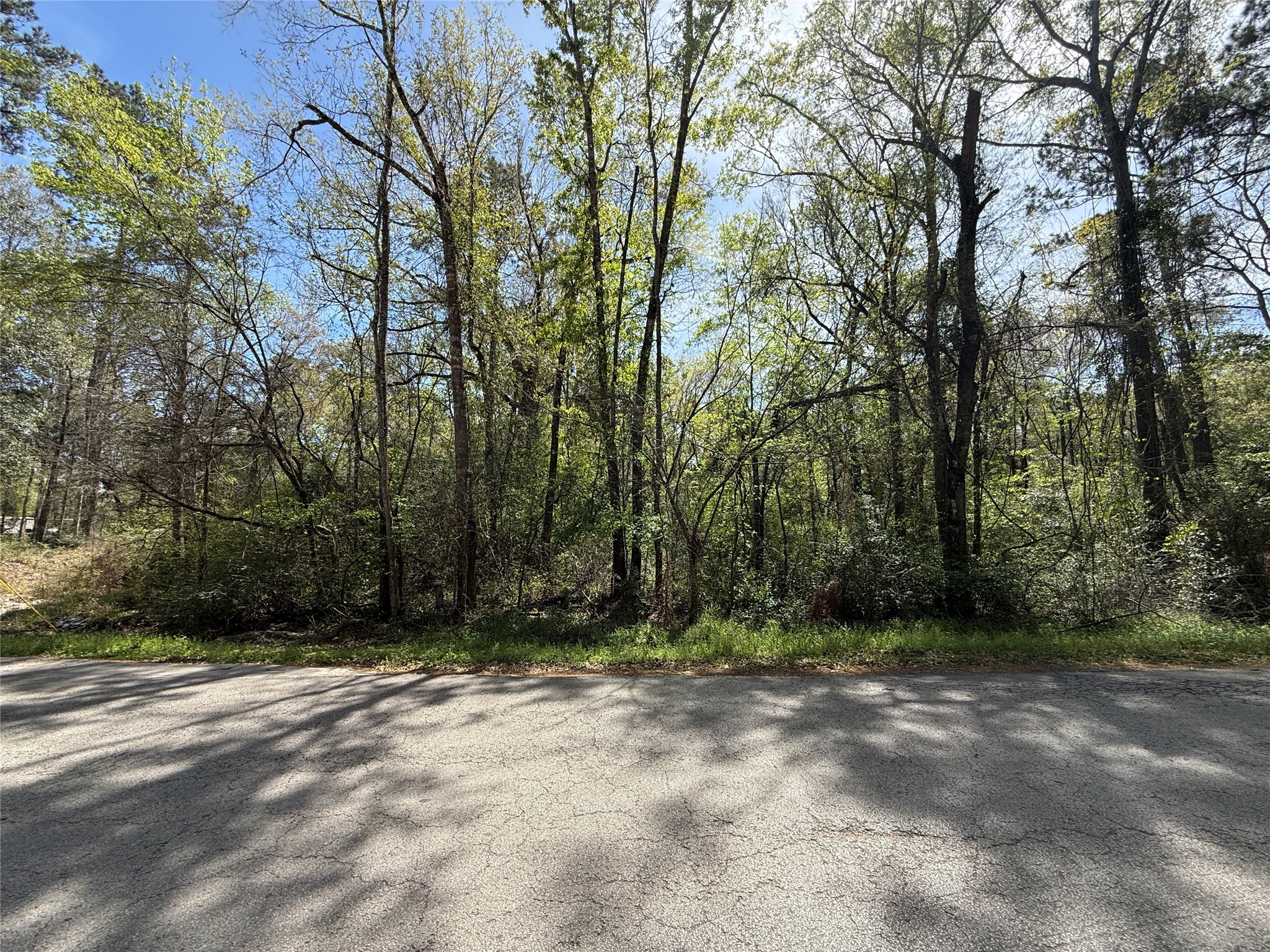 Tbd Walker Road Conroe, TX 77306 - Photo 7 of 7