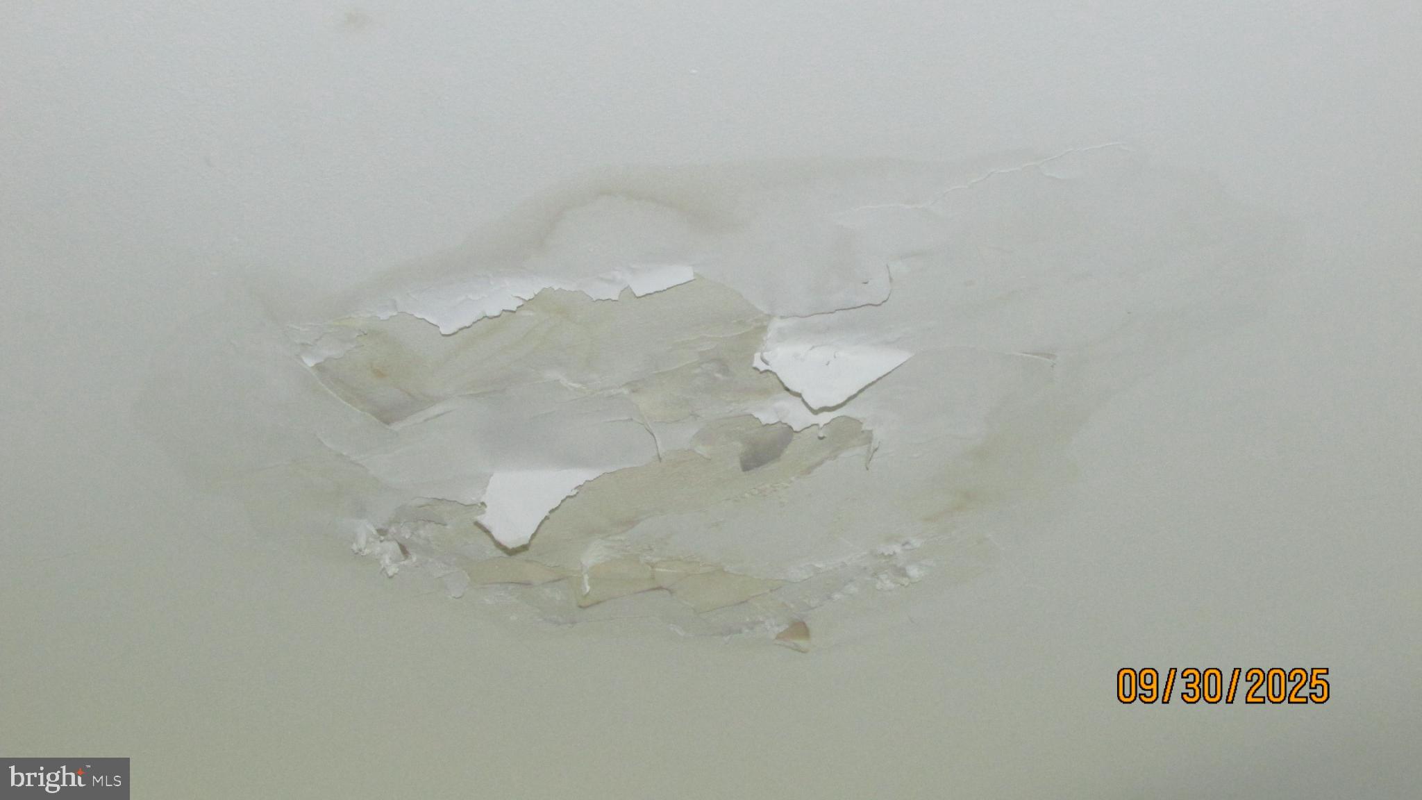 4501 Beechwood Road College Park, MD 20740 - Photo 46 of 57 Ceiling damage revealing underlying issues.