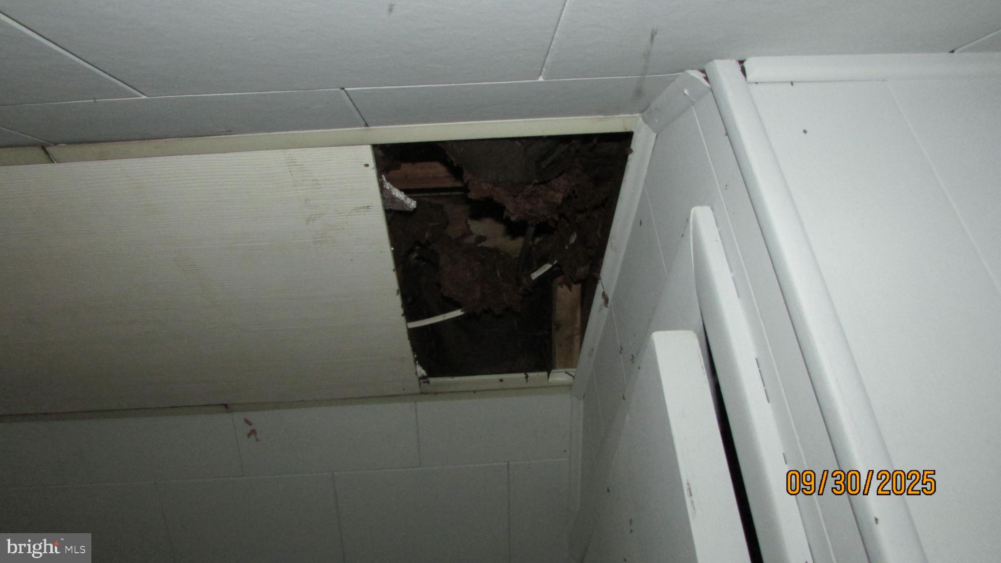 4501 Beechwood Road College Park, MD 20740 - Photo 52 of 57 a view of walk in closet