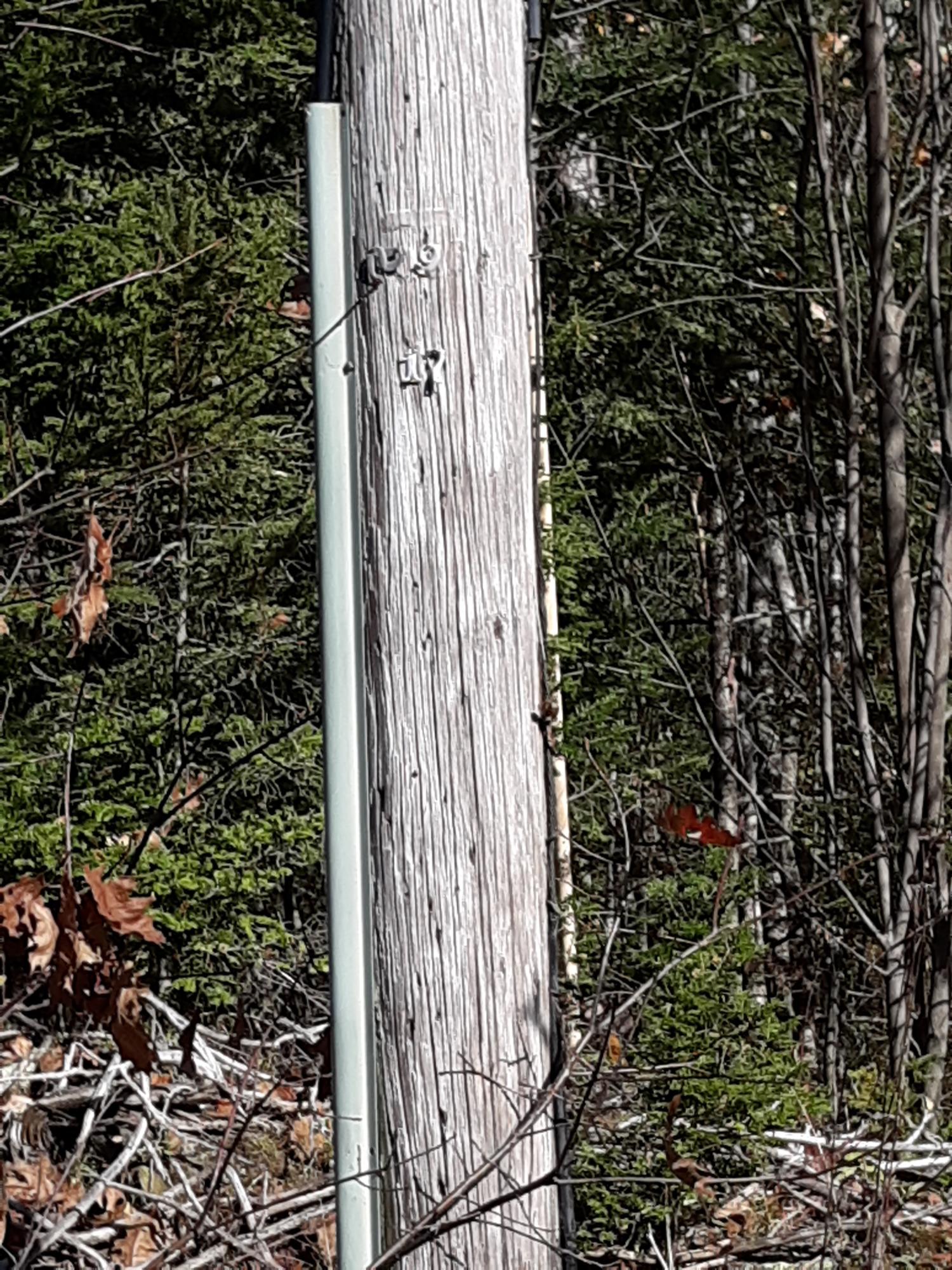 0 Greeley Road Freedom, ME 04941 - Photo 5 of 8 5
