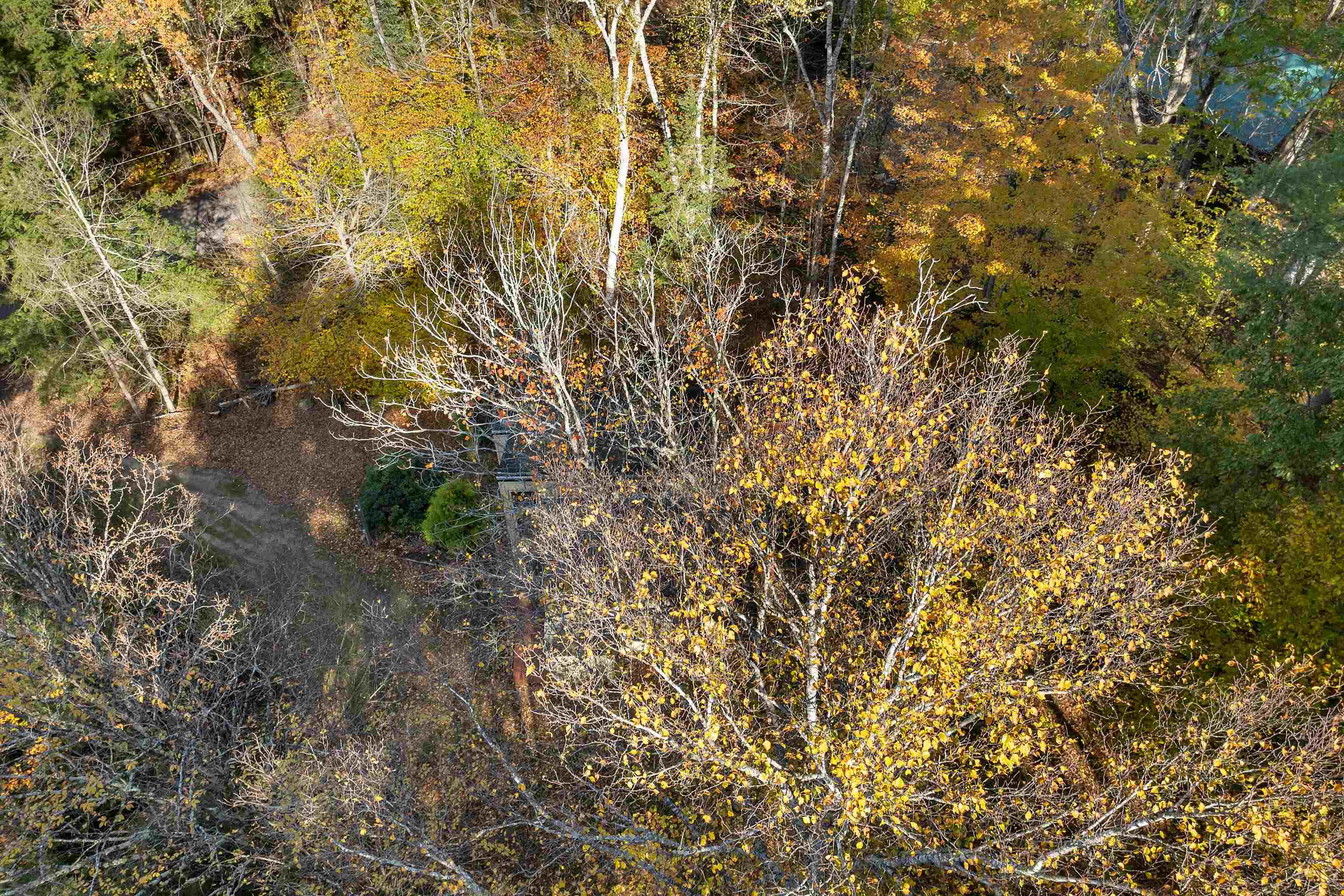 88 Donovan Farm Road Campton, NH 03223 - Photo 50 of 60