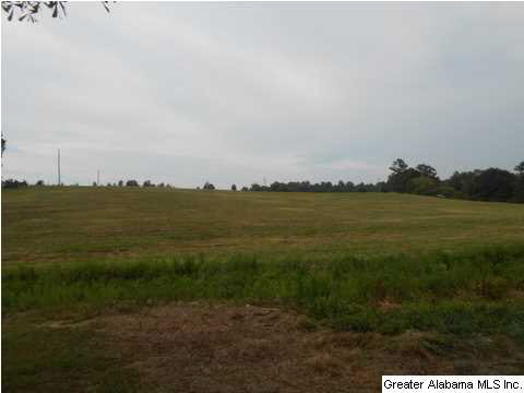 1400 Wilson Chapel Road, Unit 28 ACRES Oneonta, AL 35121 - Photo 5 of 19