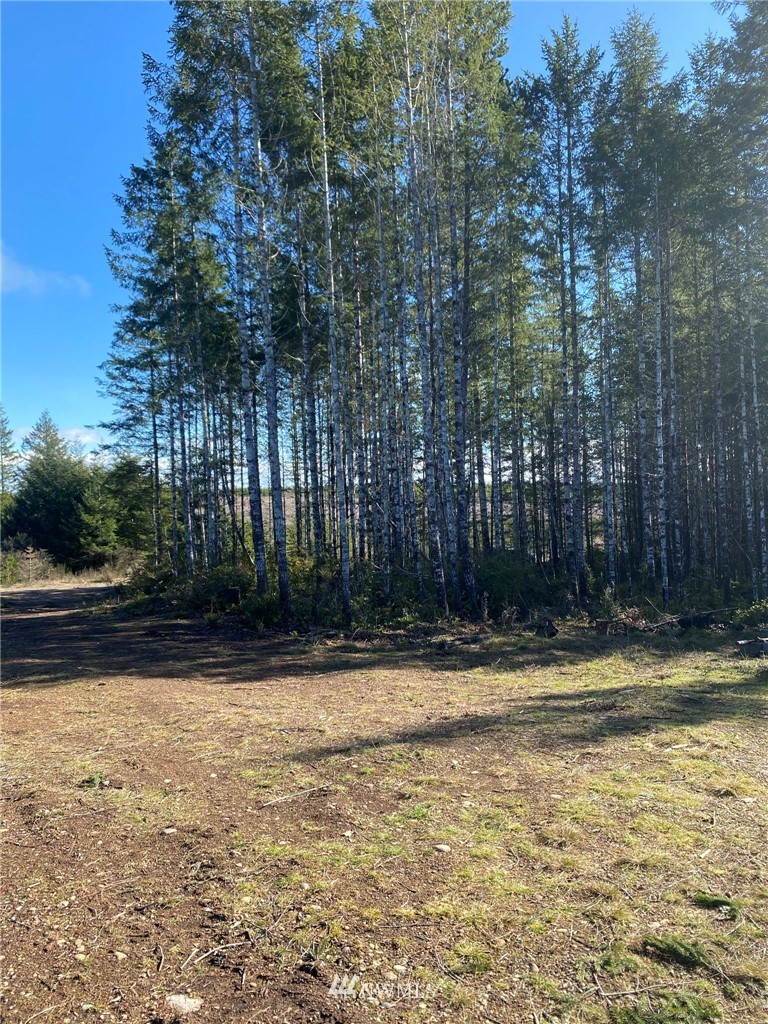 603 East Pinedirosa Road Union, WA 98592 - Photo 2 of 16 Gallery Image 2