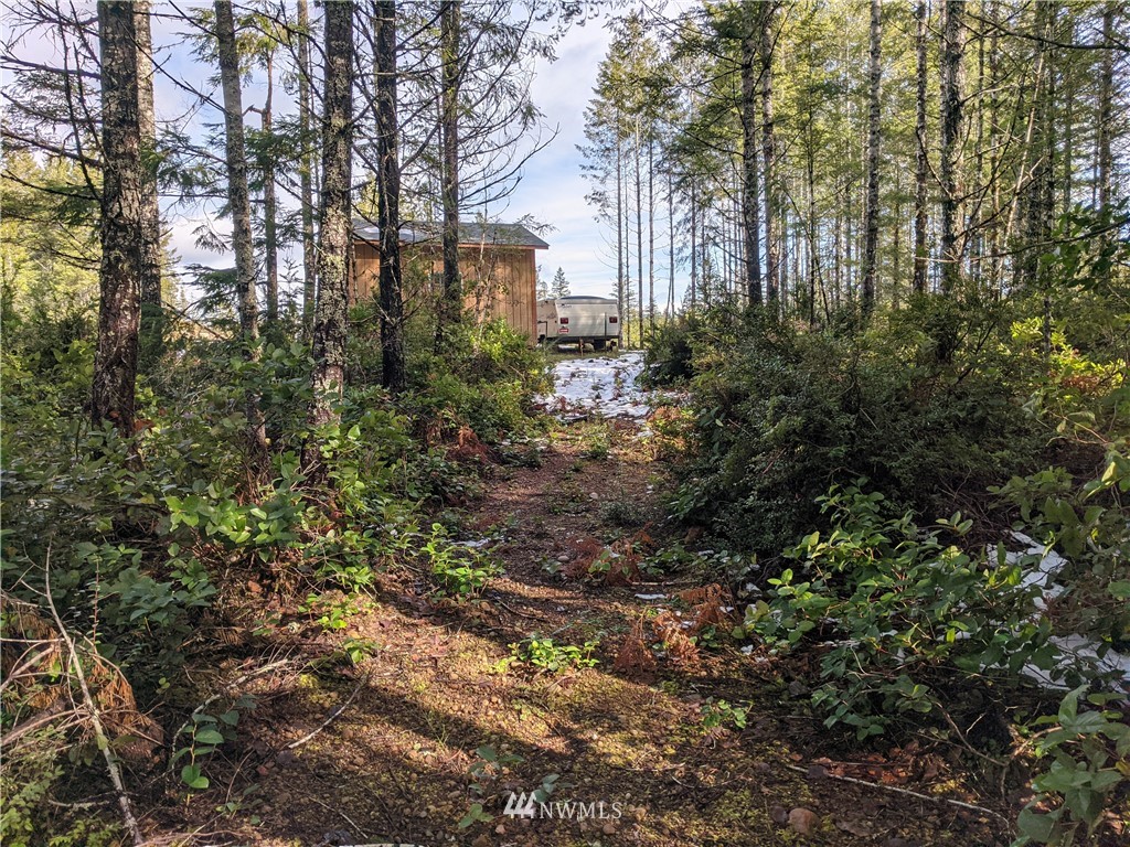 603 East Pinedirosa Road Union, WA 98592 - Photo 13 of 16 Gallery Image 13