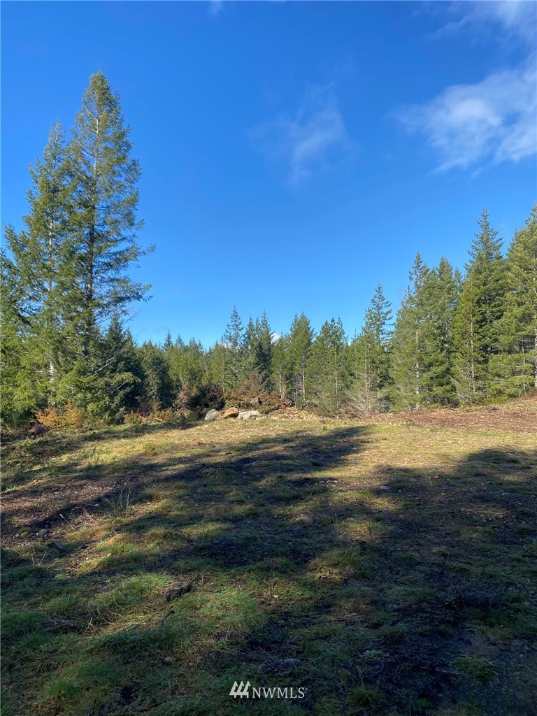 603 East Pinedirosa Road Union, WA 98592 - Photo 3 of 16 Gallery Image 3