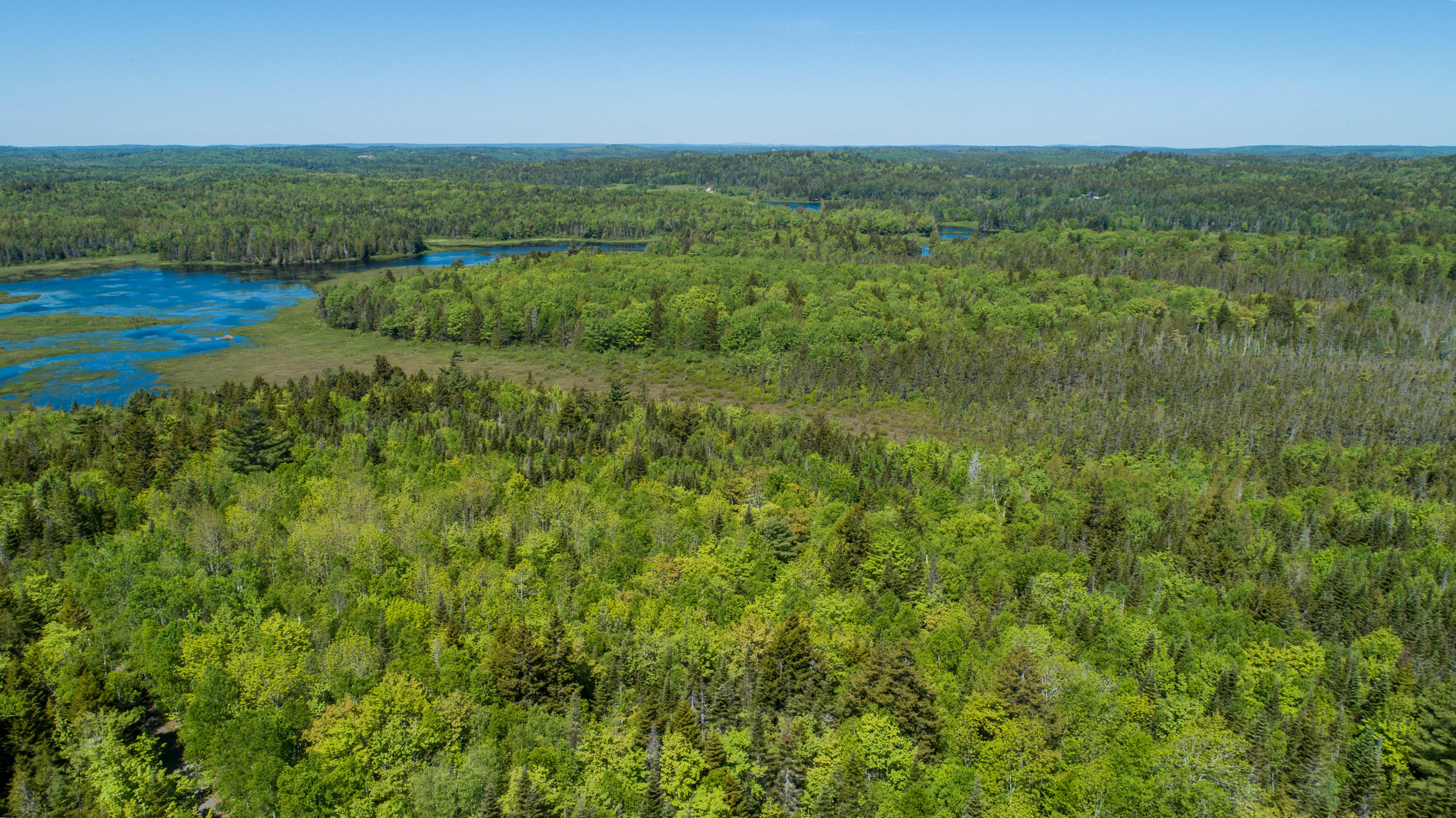 1 Old US Rte 1 Whiting, ME 04691 - Photo 3 of 15 2