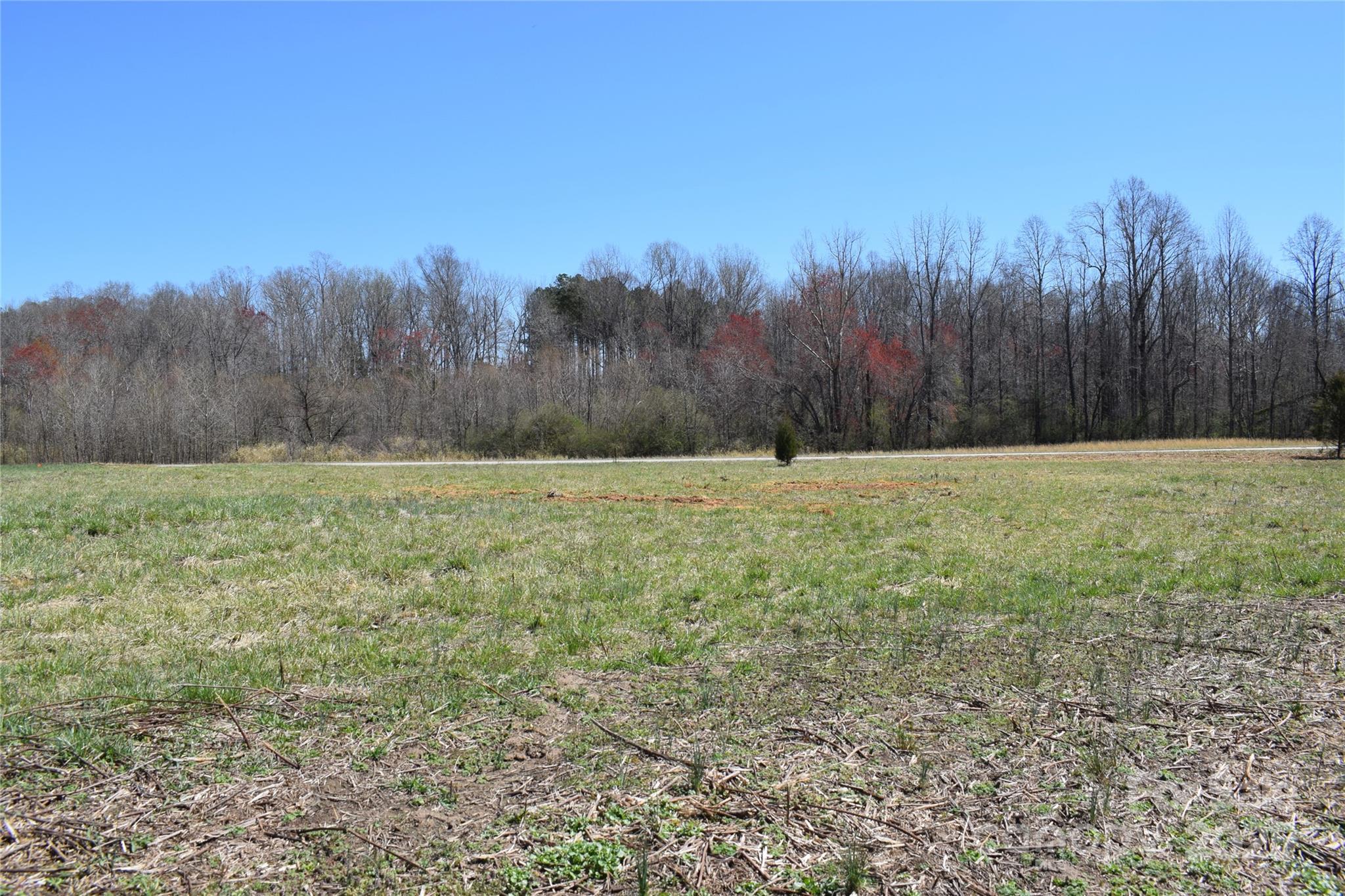 0 Prince Road, Unit 3 Columbus, NC 28722 - Photo 5 of 8 Gallery Image 5