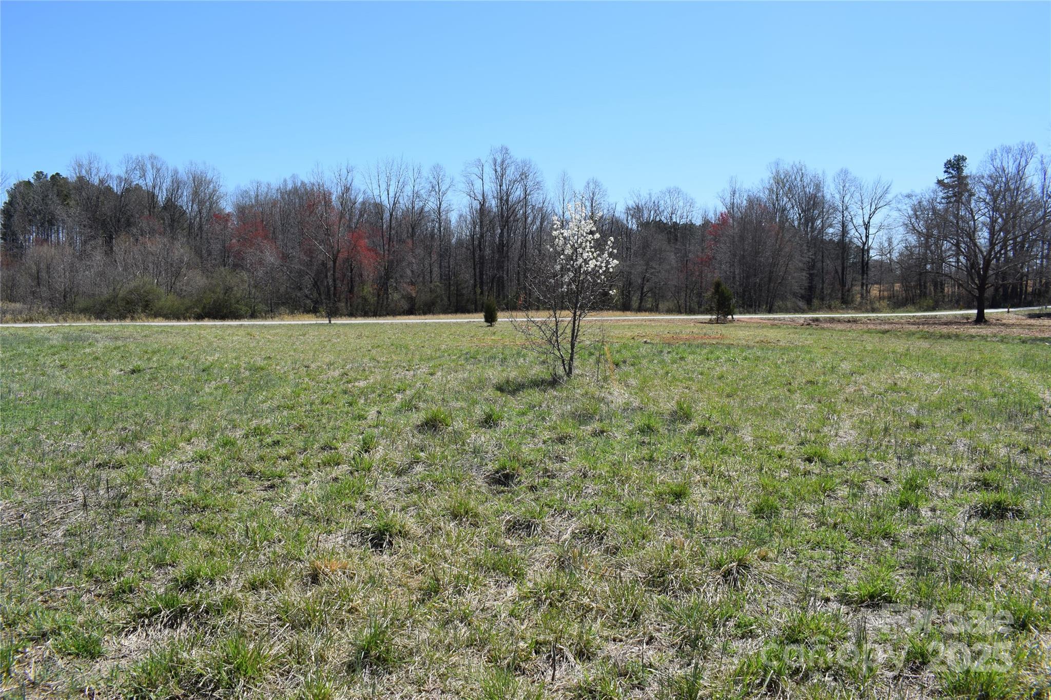 0 Prince Road, Unit 3 Columbus, NC 28722 - Photo 6 of 8 Gallery Image 6