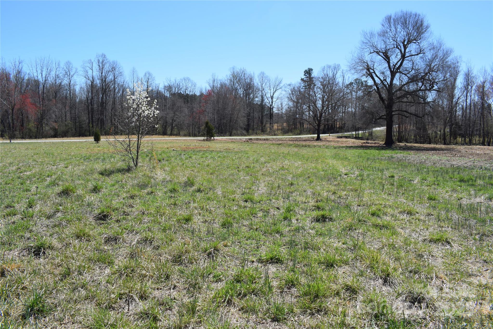 0 Prince Road, Unit 3 Columbus, NC 28722 - Photo 7 of 8 Gallery Image 7
