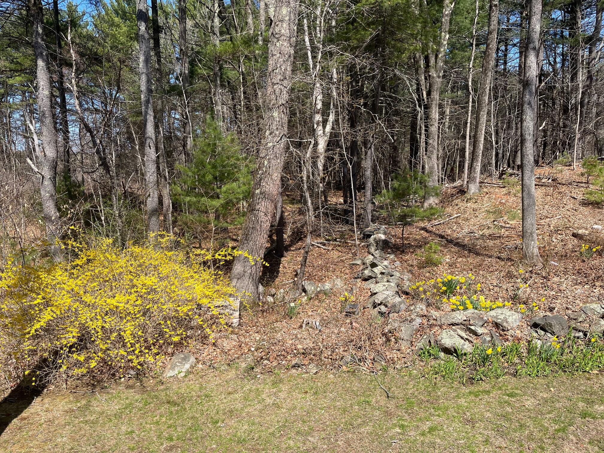78 Norton Road, Unit 7 Kittery, ME 03904 - Photo 22 of 28 view from deck