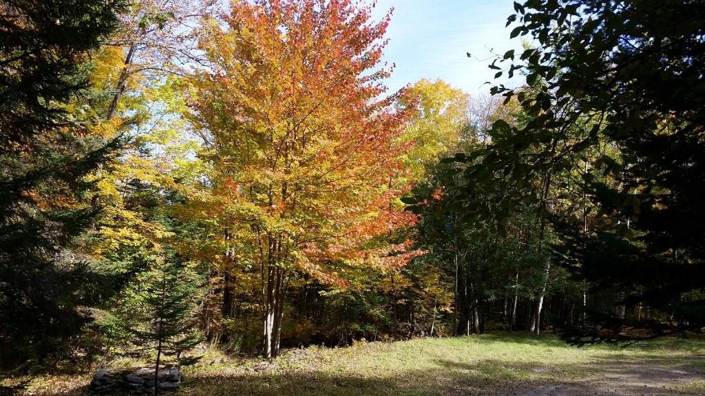 36 Curtis Brook Road Kingfield, ME 04947 - Photo 23 of 24 Photo
