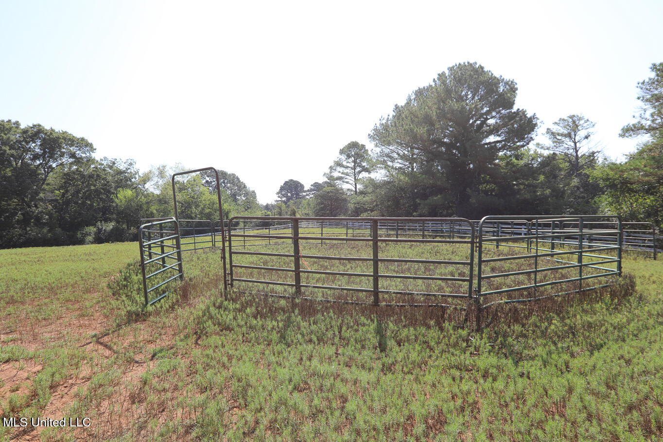 3141 Highway 43 Canton, MS 39046 - Photo 81 of 94 New Listing-32