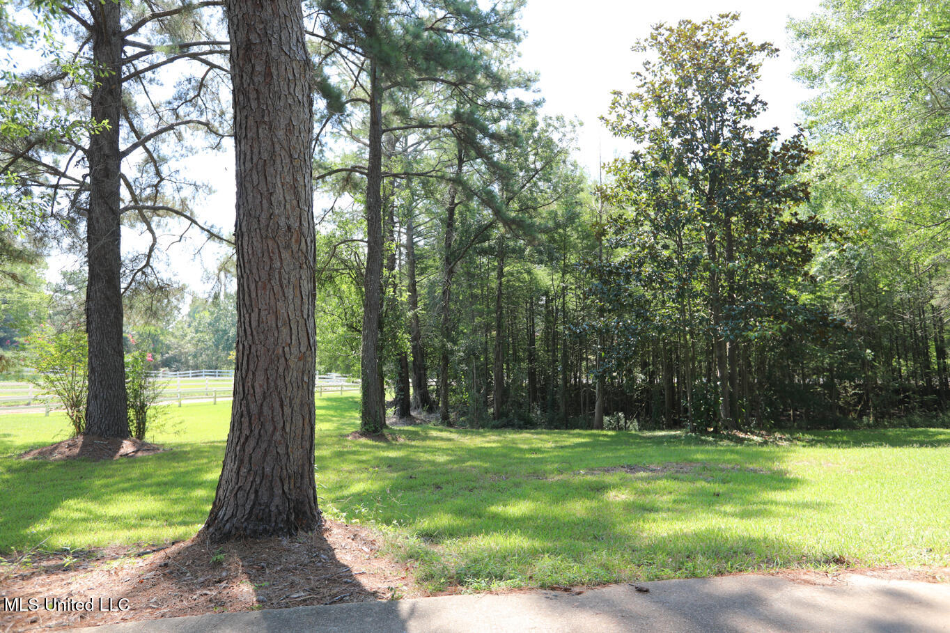 3141 Highway 43 Canton, MS 39046 - Photo 93 of 97 New Listing-144
