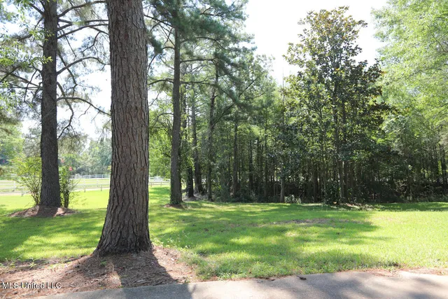 $665,000 | 3141 Highway 43, Canton, MS 39046