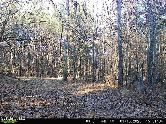 $665,000 | 3141 Highway 43, Canton, MS 39046