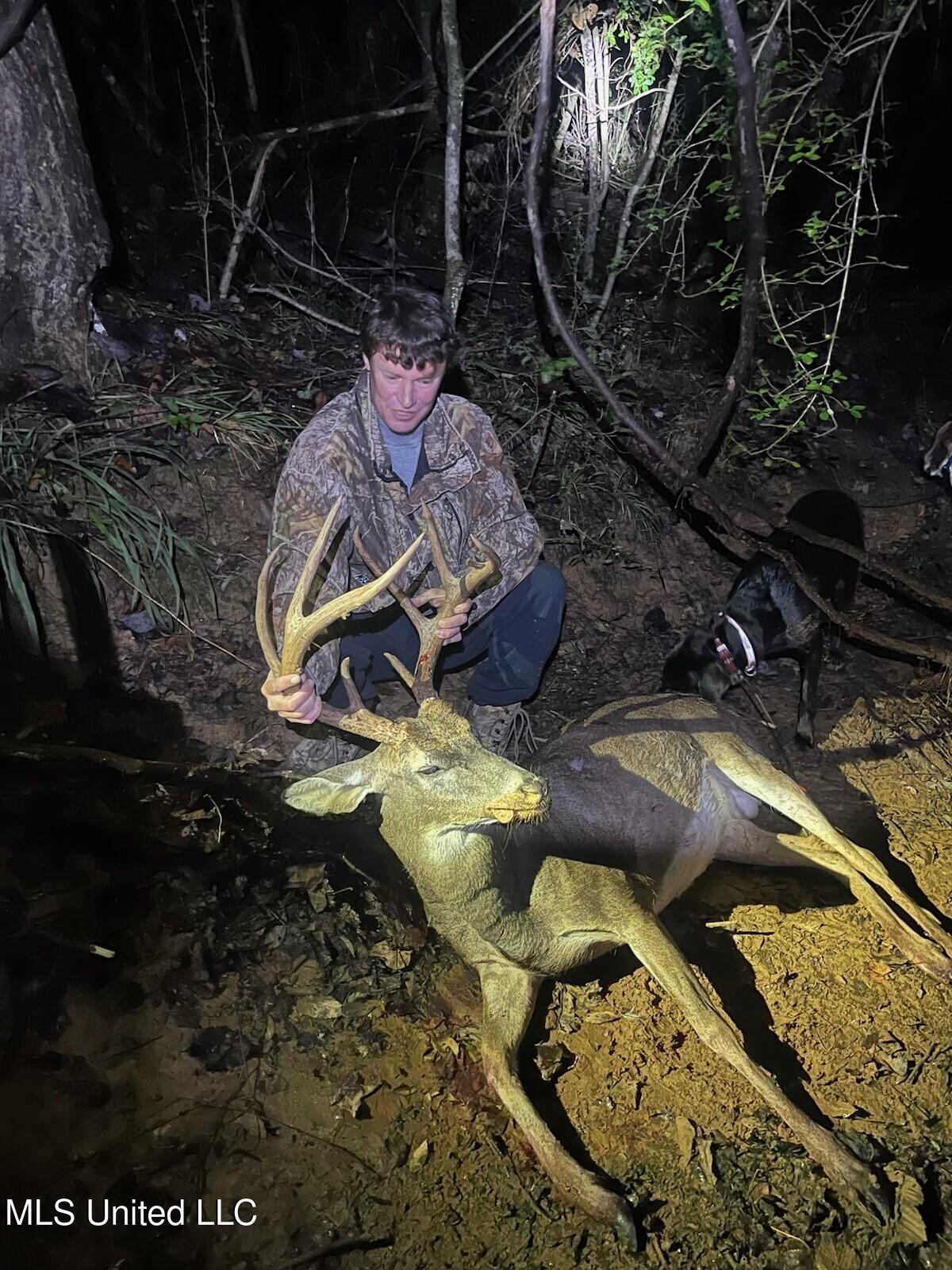 3141 Highway 43 Canton, MS 39046 - Photo 96 of 97 deer 2