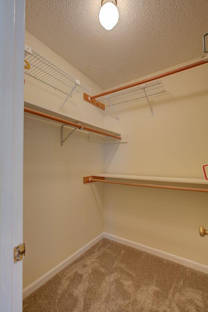 256 Pleasant Run Road Smyrna, TN 37167 - Photo 18 of 28 Walk-in closet