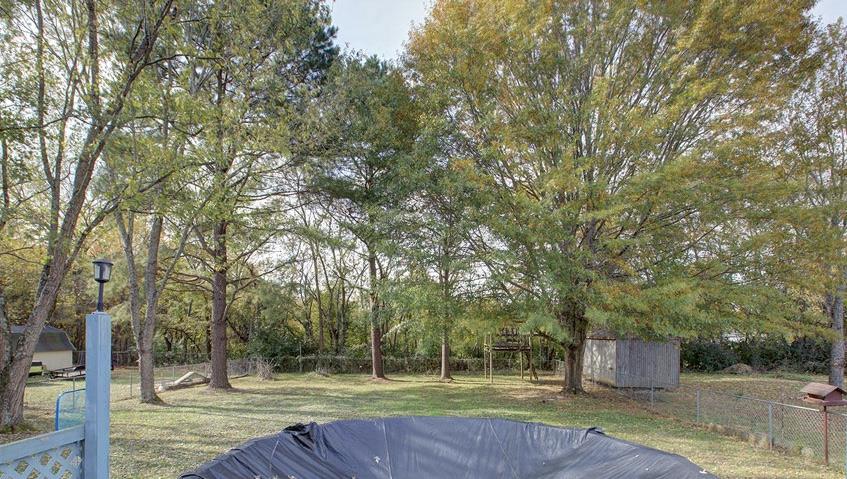 256 Pleasant Run Road Smyrna, TN 37167 - Photo 6 of 28 Beautiful backyard backing to tree line.