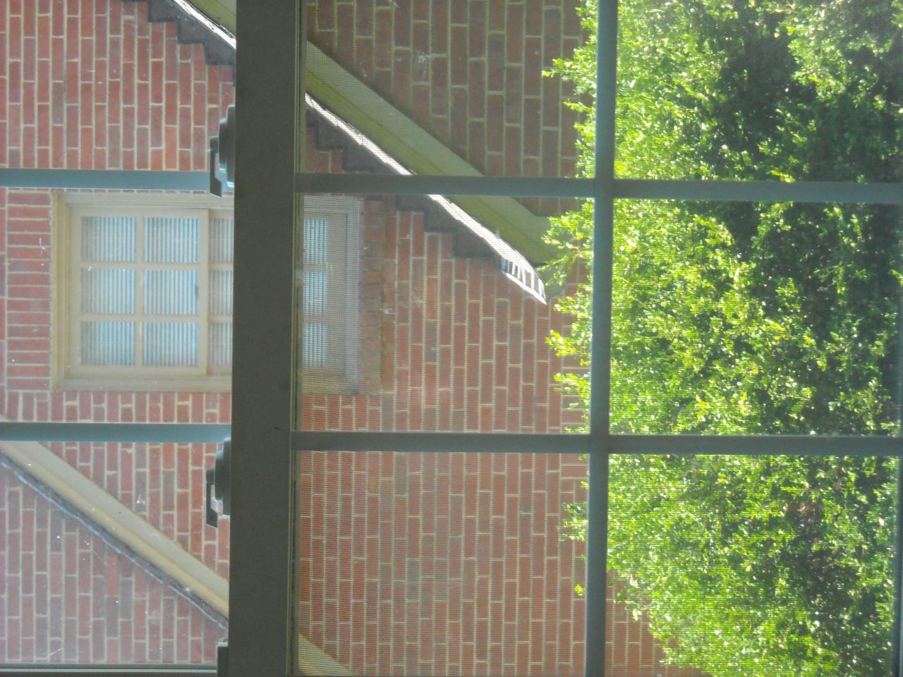 1818 Warrington Road Southwest Roanoke, VA 24015 - Photo 8 of 17 replacement windows!