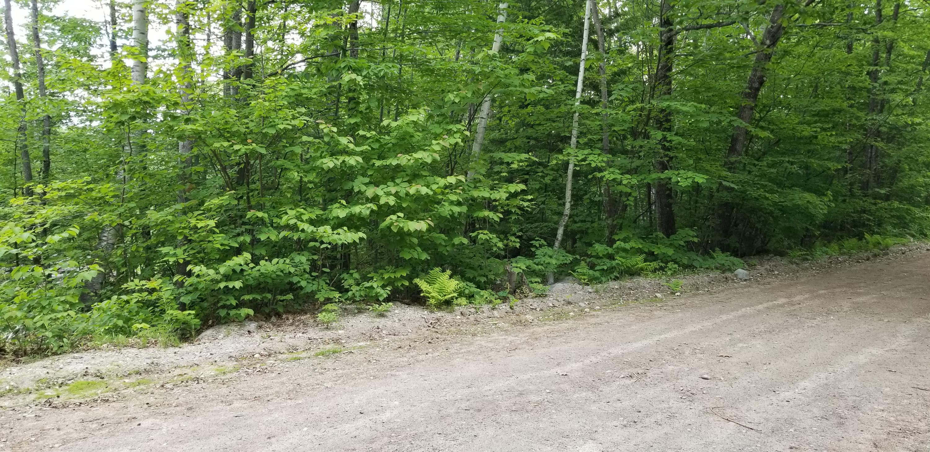 218 Sabattus Trail Road Lovell, ME 04051 - Photo 10 of 11 20200607_154619