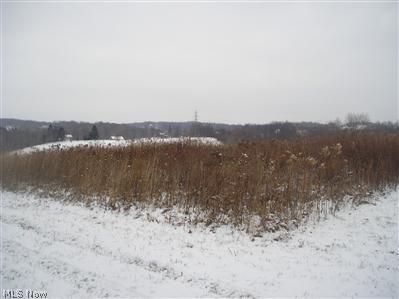 2828 Mc Cann Road Salem, OH 44460 - Photo 1 of 1 Gallery Image 1