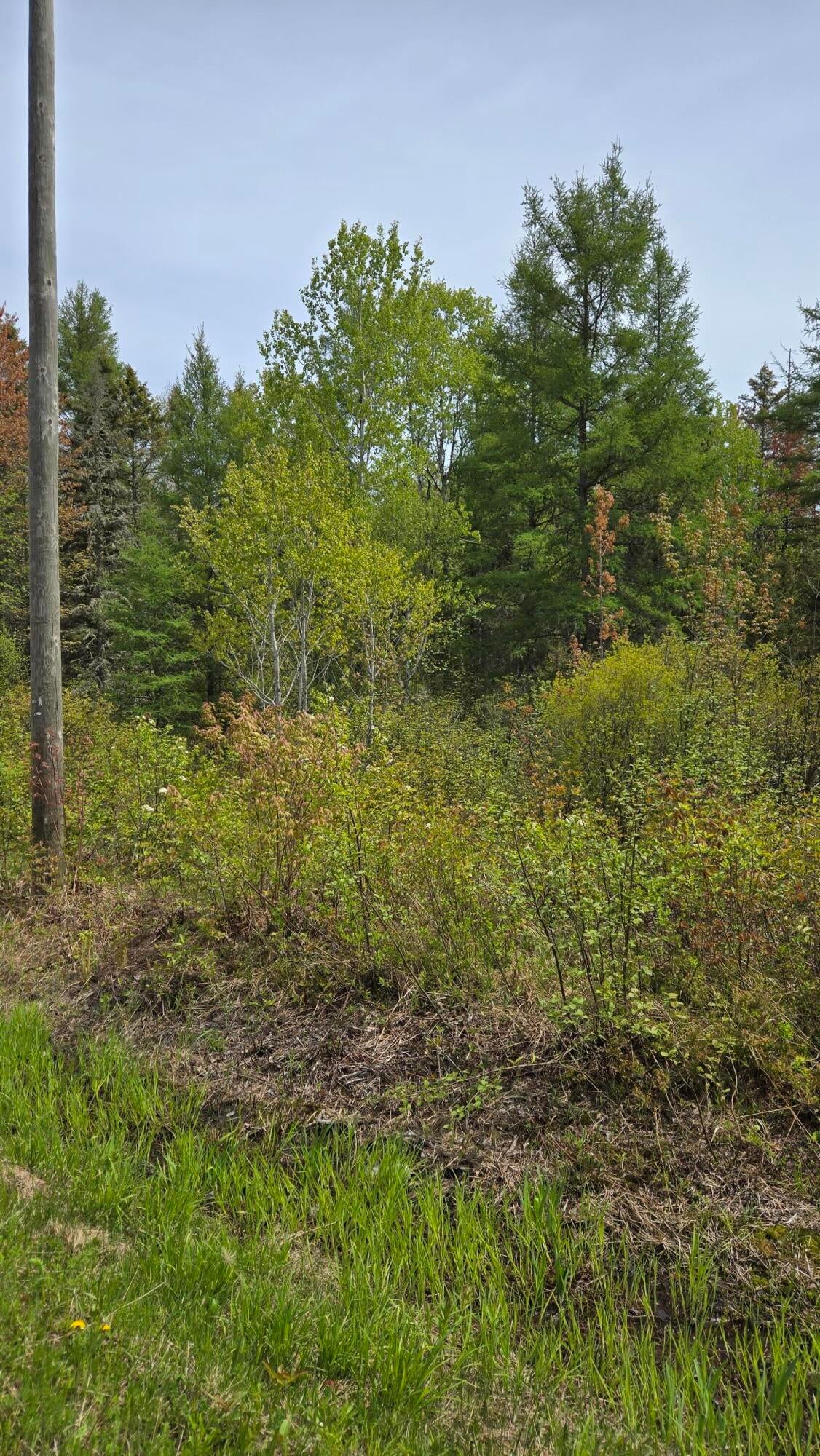 0 South Forrest Side Road Brimley, MI 49715 - Photo 5 of 6 Gallery Image 5