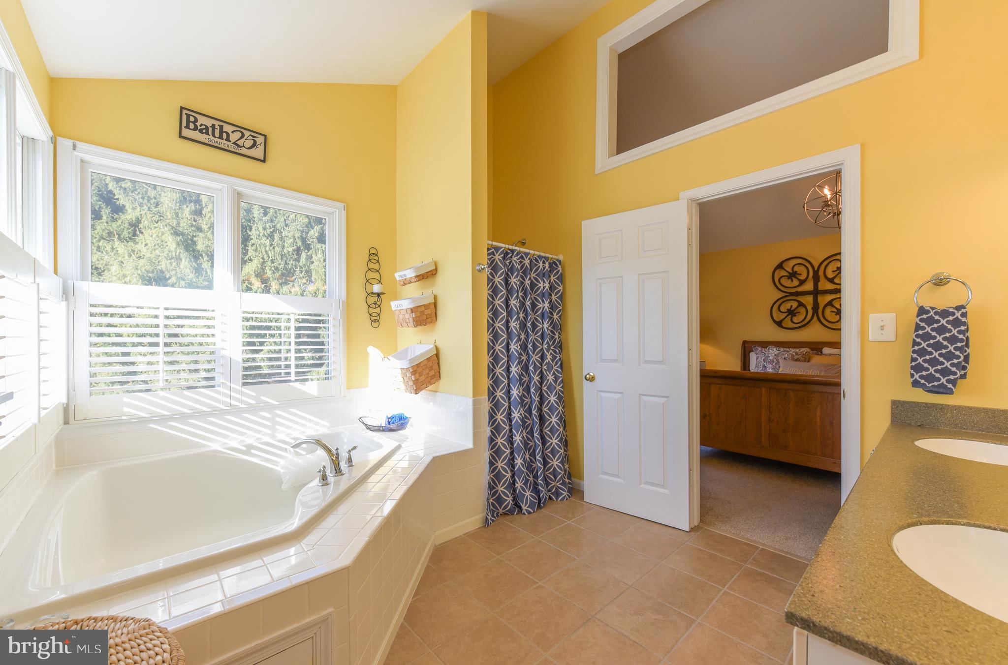 2641 Leslie Road Mount Airy, MD 21771 - Photo 18 of 30 Bath (Master)