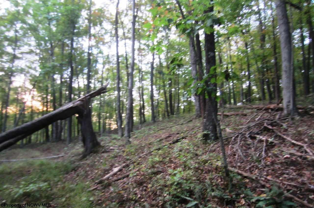 Tbd Kincheloe Road Jane Lew, WV 26378 - Photo 15 of 16 Gallery Image 15