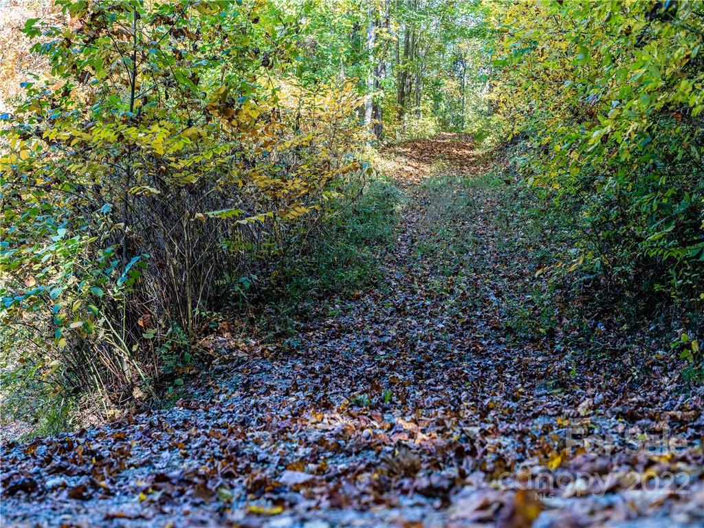 42 Brownsview Church Road Candler, NC 28715 - Photo 17 of 23 Gallery Image 17