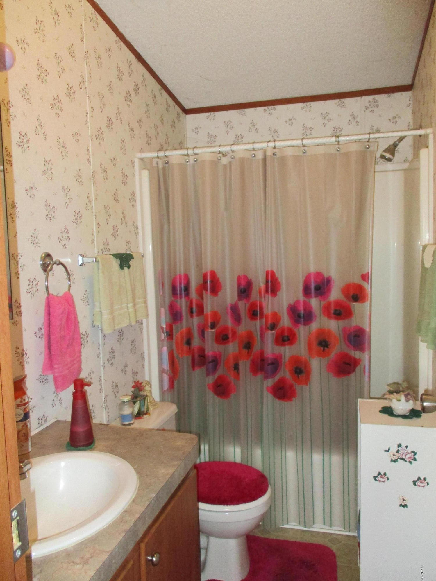 16340 Squatter Road Arizona City, AZ 85123 - Photo 11 of 23 Guest Bathroom