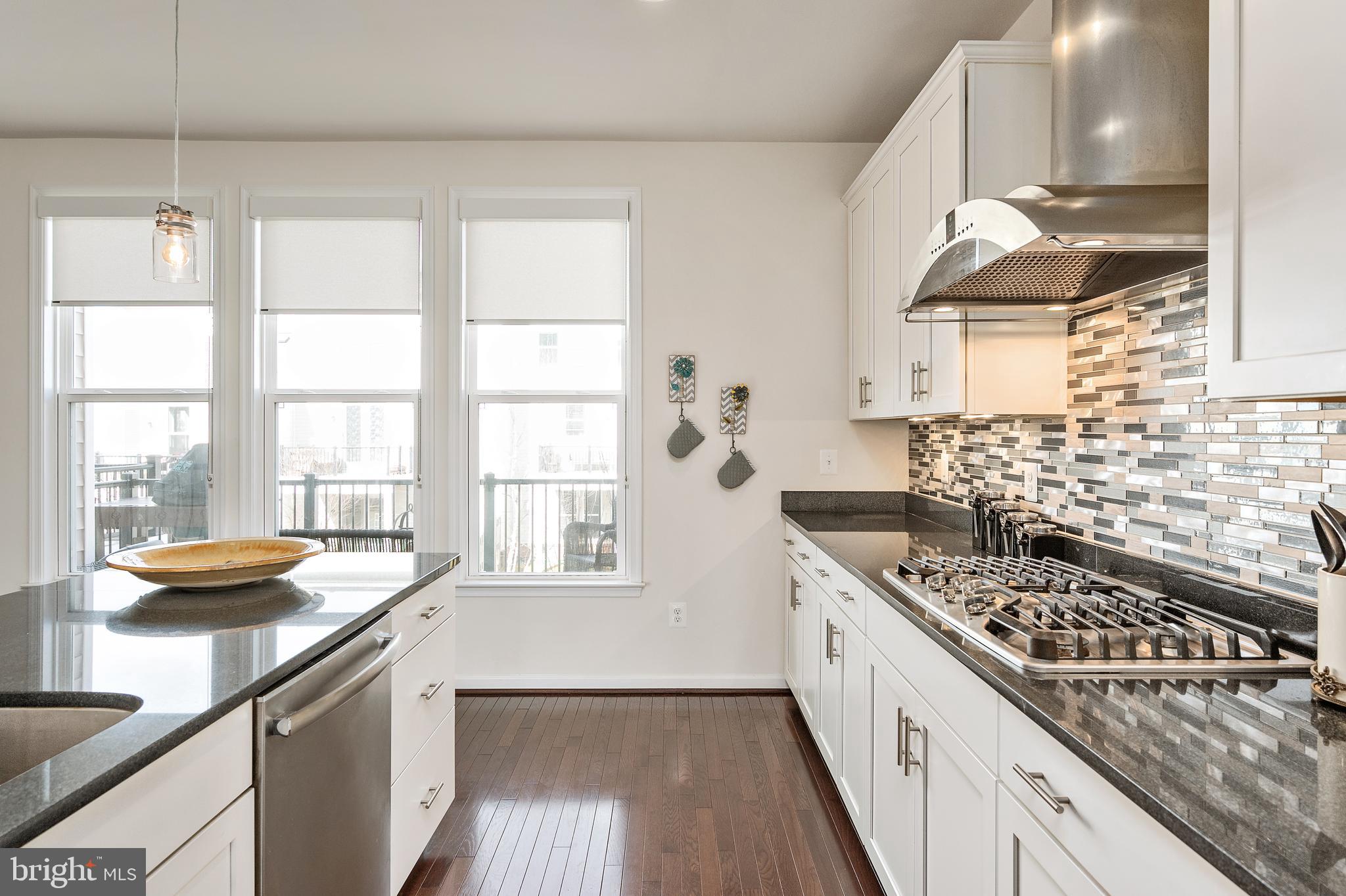 42270 Riggins Ridge Terrace Ashburn, VA 20148 - Photo 22 of 56