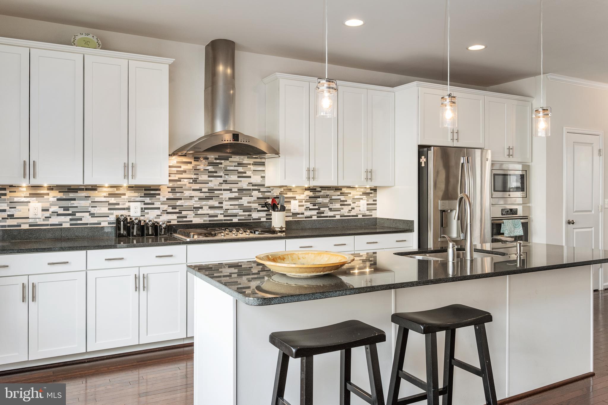 42270 Riggins Ridge Terrace Ashburn, VA 20148 - Photo 4 of 56
