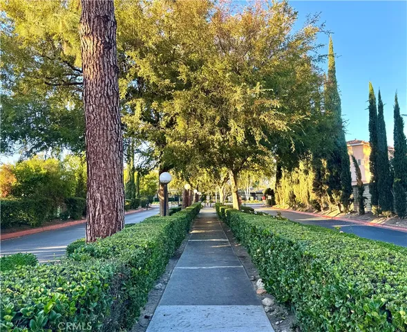 a park with full of palm trees