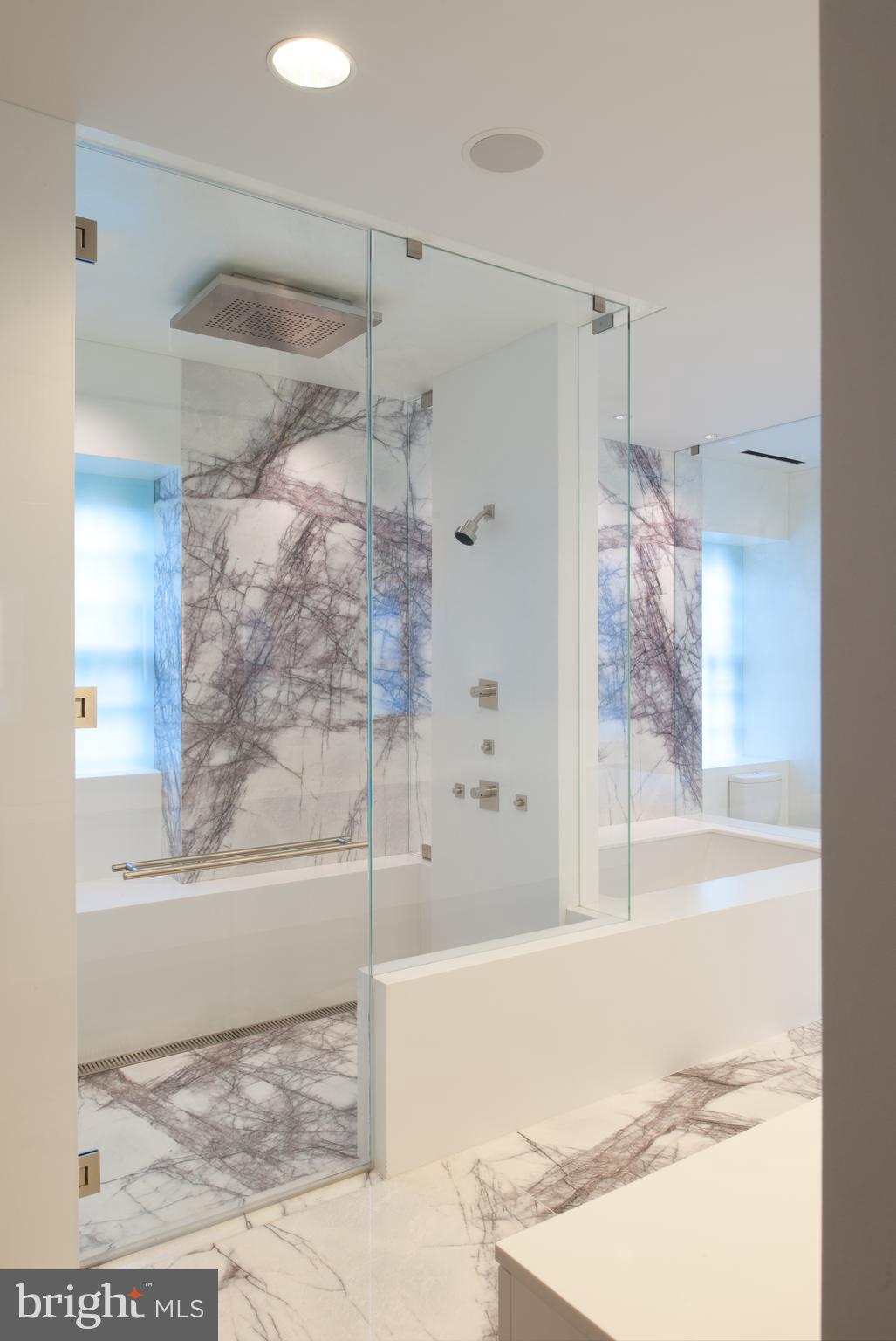 2438 Belmont Road Northwest Washington, DC 20008 - Photo 28 of 50 Primary Bath