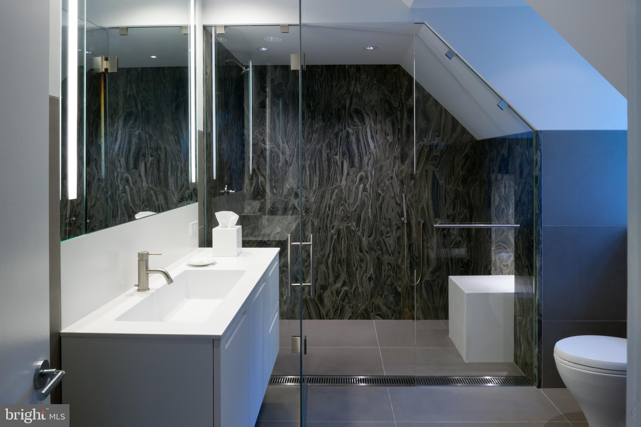 2438 Belmont Road Northwest Washington, DC 20008 - Photo 35 of 50 Guest Bath
Photo credit: Max Mackenzie
