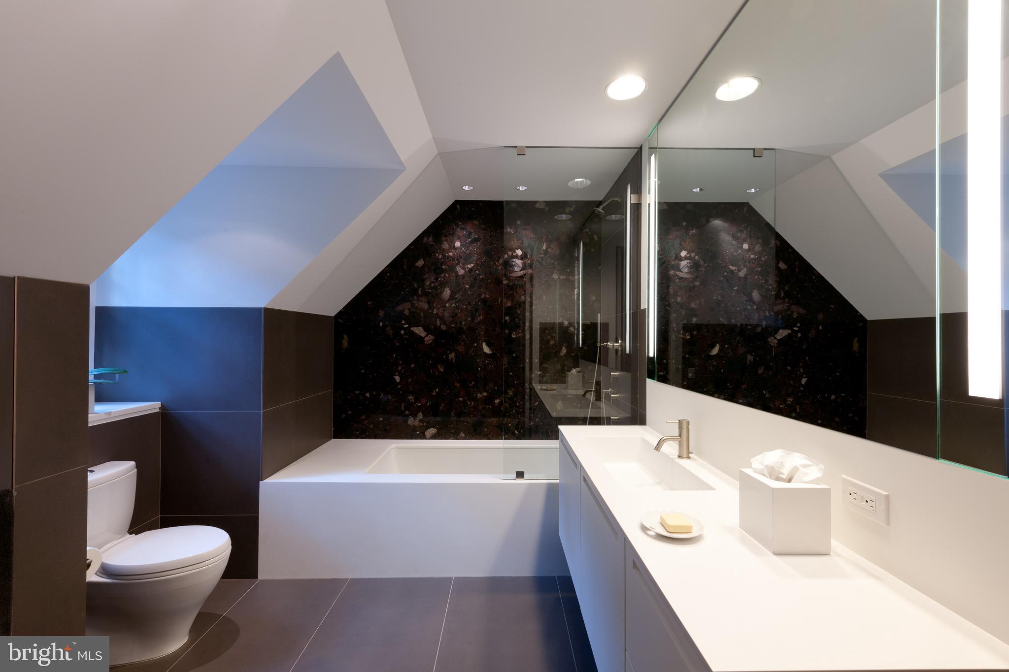 2438 Belmont Road Northwest Washington, DC 20008 - Photo 36 of 50 Guest Bath
Photo credit: Max Mackenzie