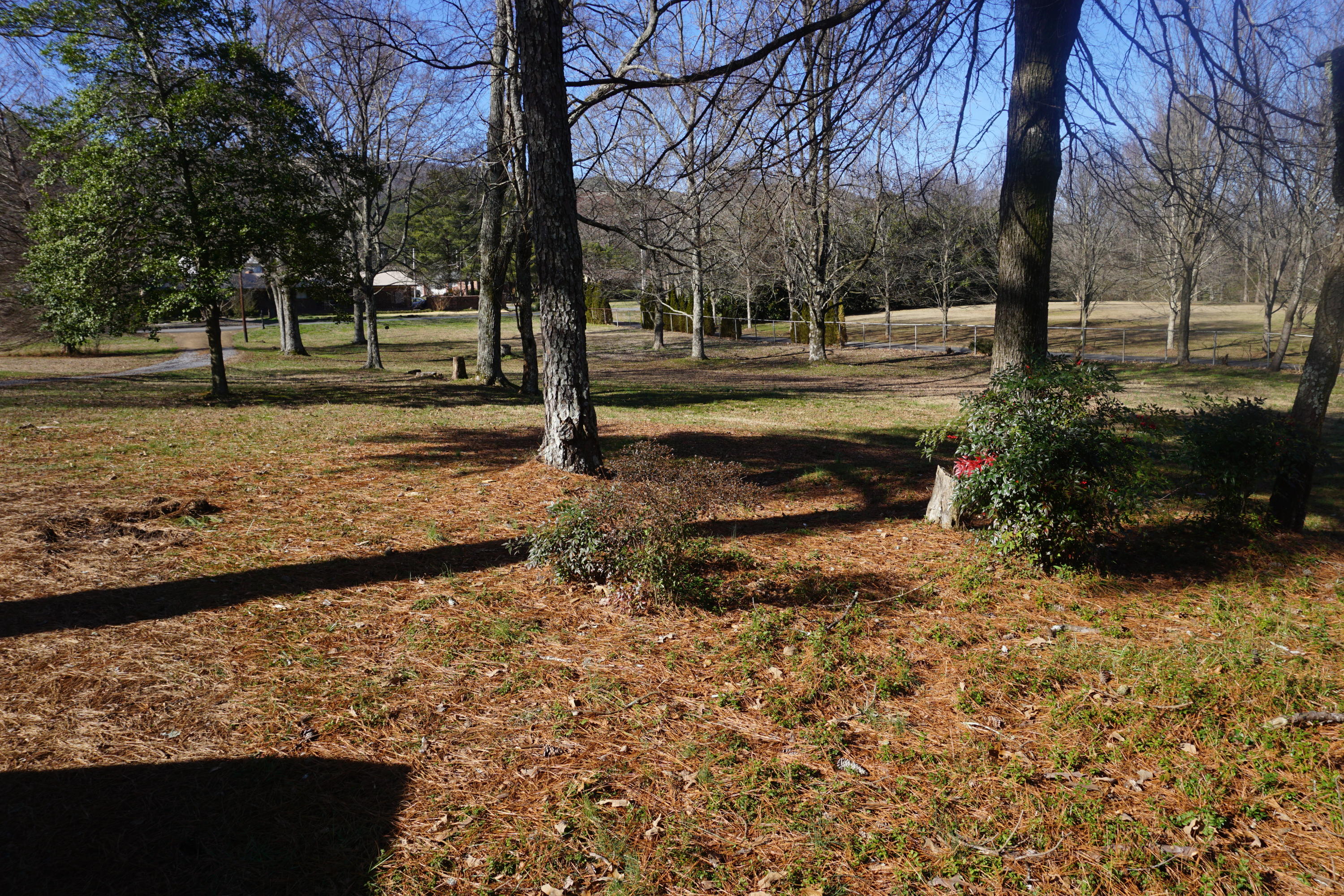 2565 Dug Gap Road Dalton, GA 30720 - Photo 7 of 24 DSC00556