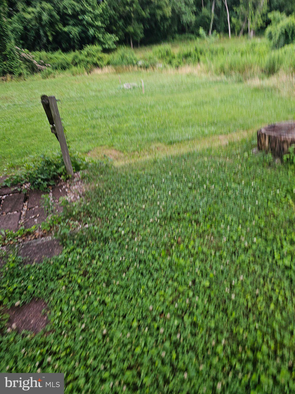 6723 Collinsdale Road Baltimore, MD 21234 - Photo 41 of 43 Lush green landscape awaits exploration.