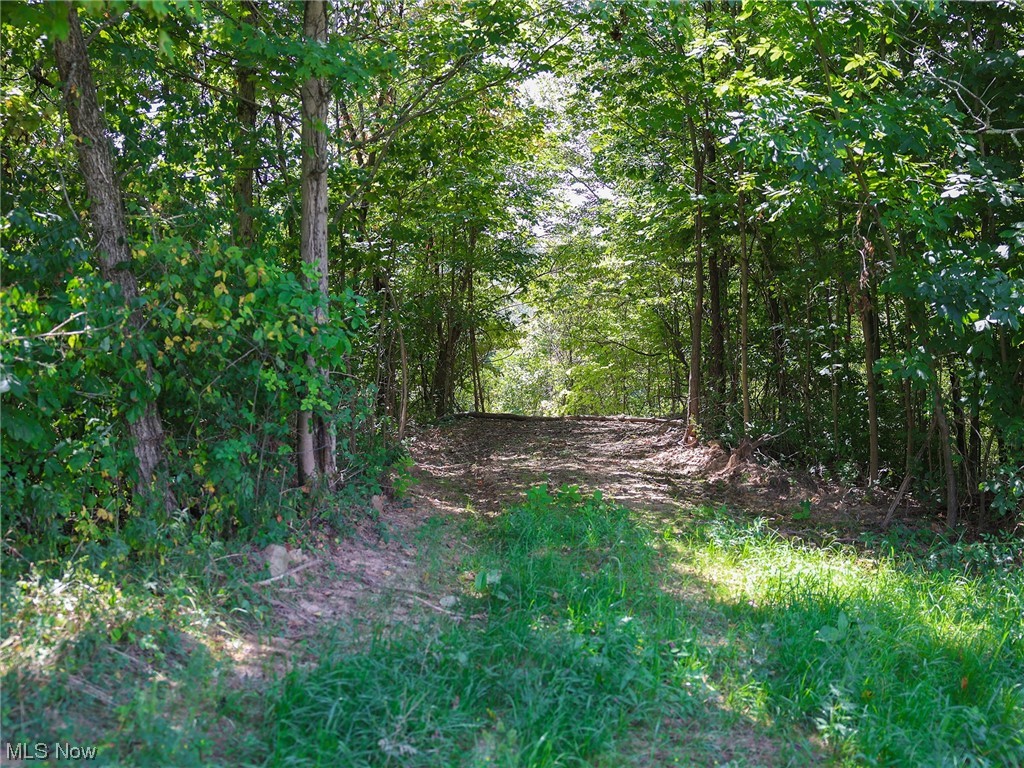 3429 Dixon Ridge Road Lowell, OH 45744 - Photo 23 of 35