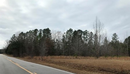 2149 Snake Swamp Road Cope, SC 29038 - Photo 8 of 10 Photo 8